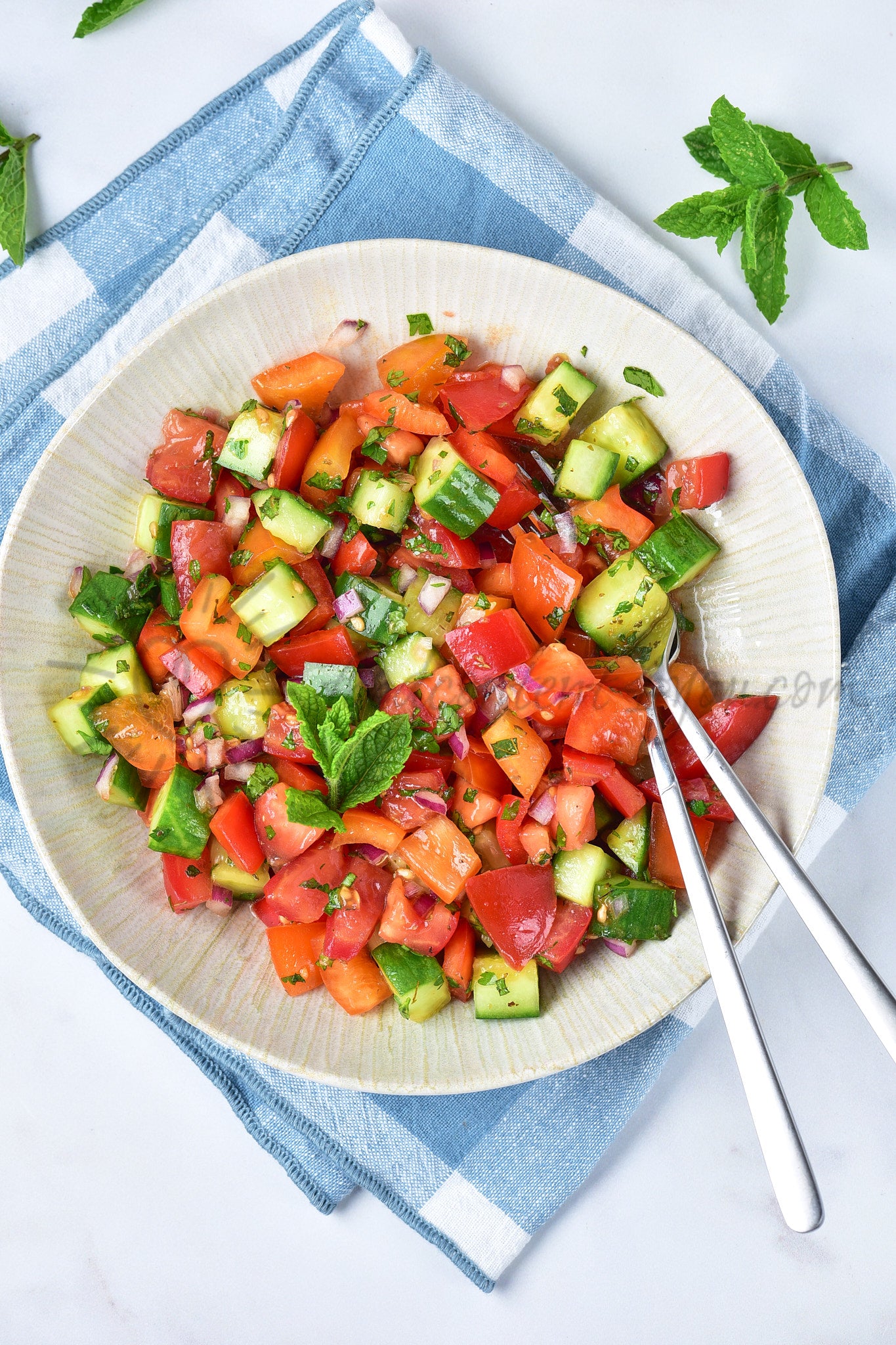 Israeli Salad - Set 2 of 5