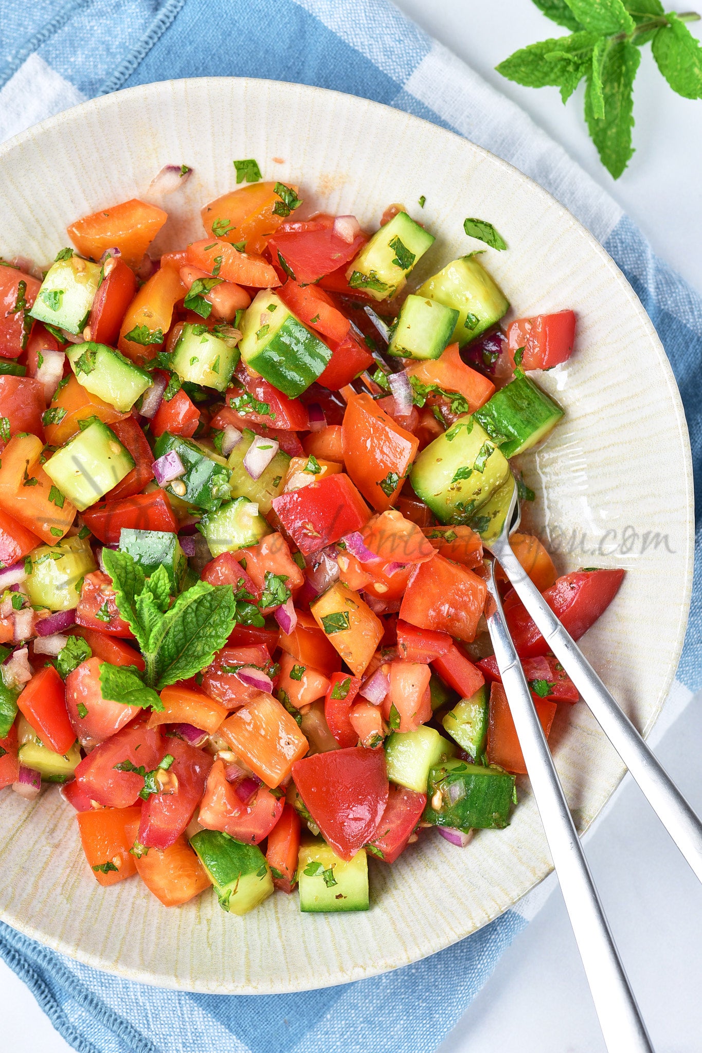 Israeli Salad - Set 2 of 5