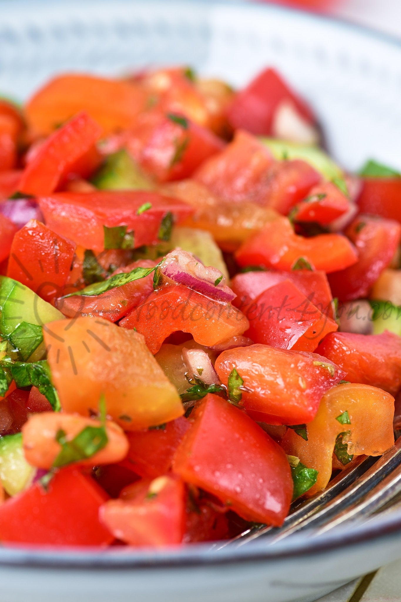 Israeli Salad - Set 3 of 5