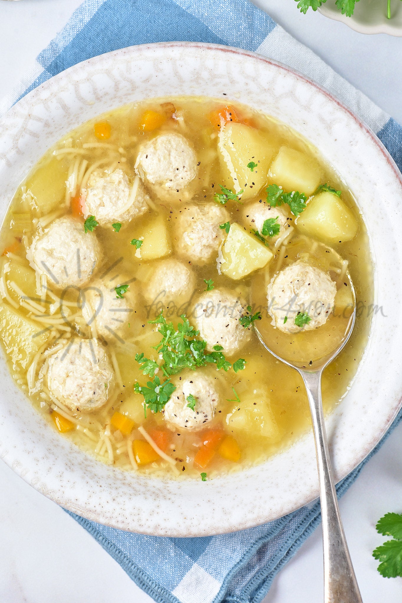 Chicken Meatball Soup - Set 1 of 5
