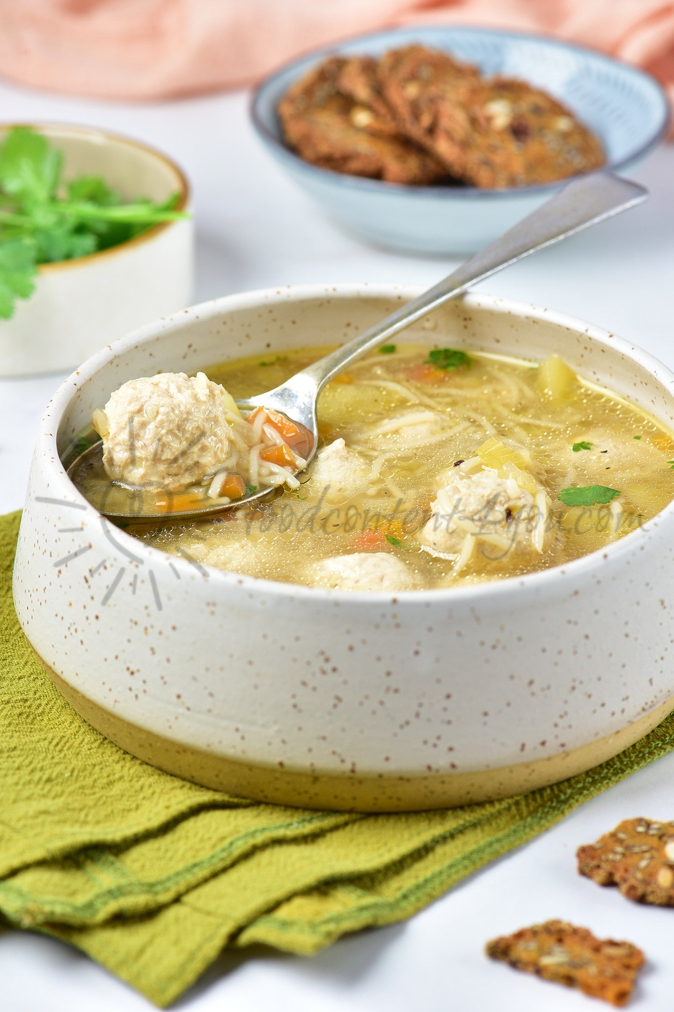Chicken Meatball Soup - Set 3 of 5