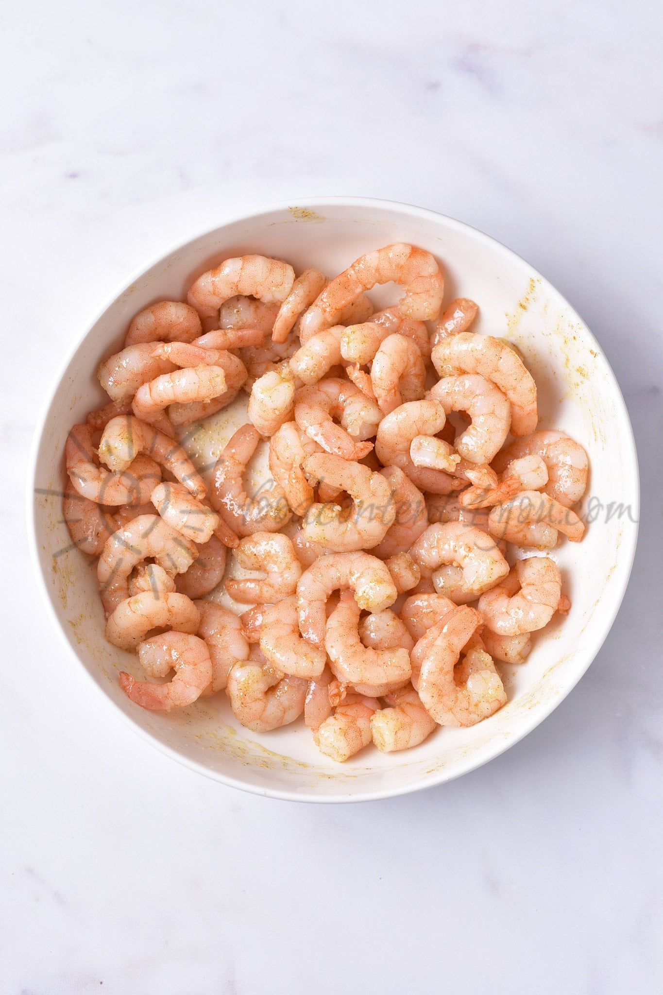 Shrimp Pasta Salad - Set 5 of 5