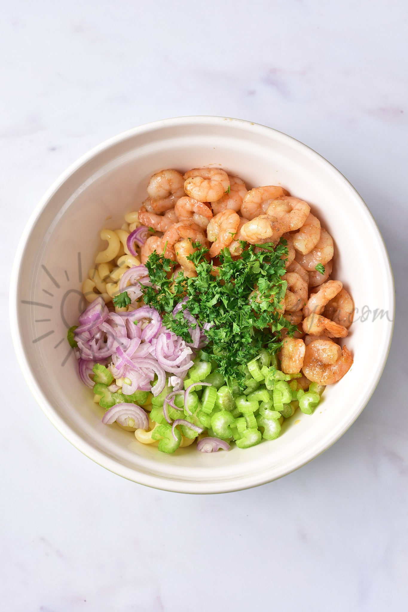 Shrimp Pasta Salad - Set 5 of 5