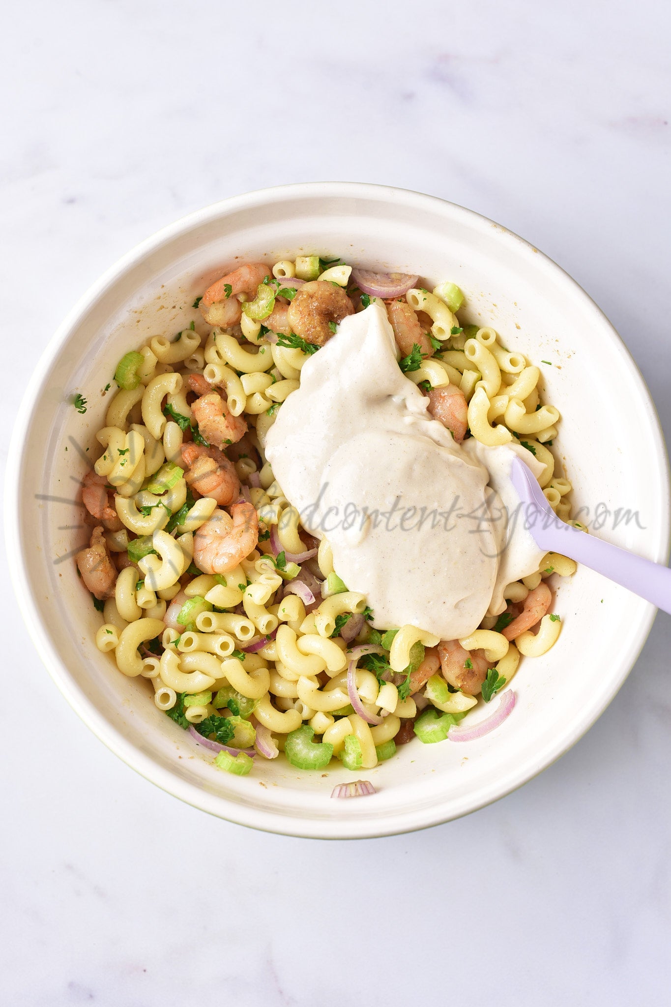 Shrimp Pasta Salad - Set 5 of 5