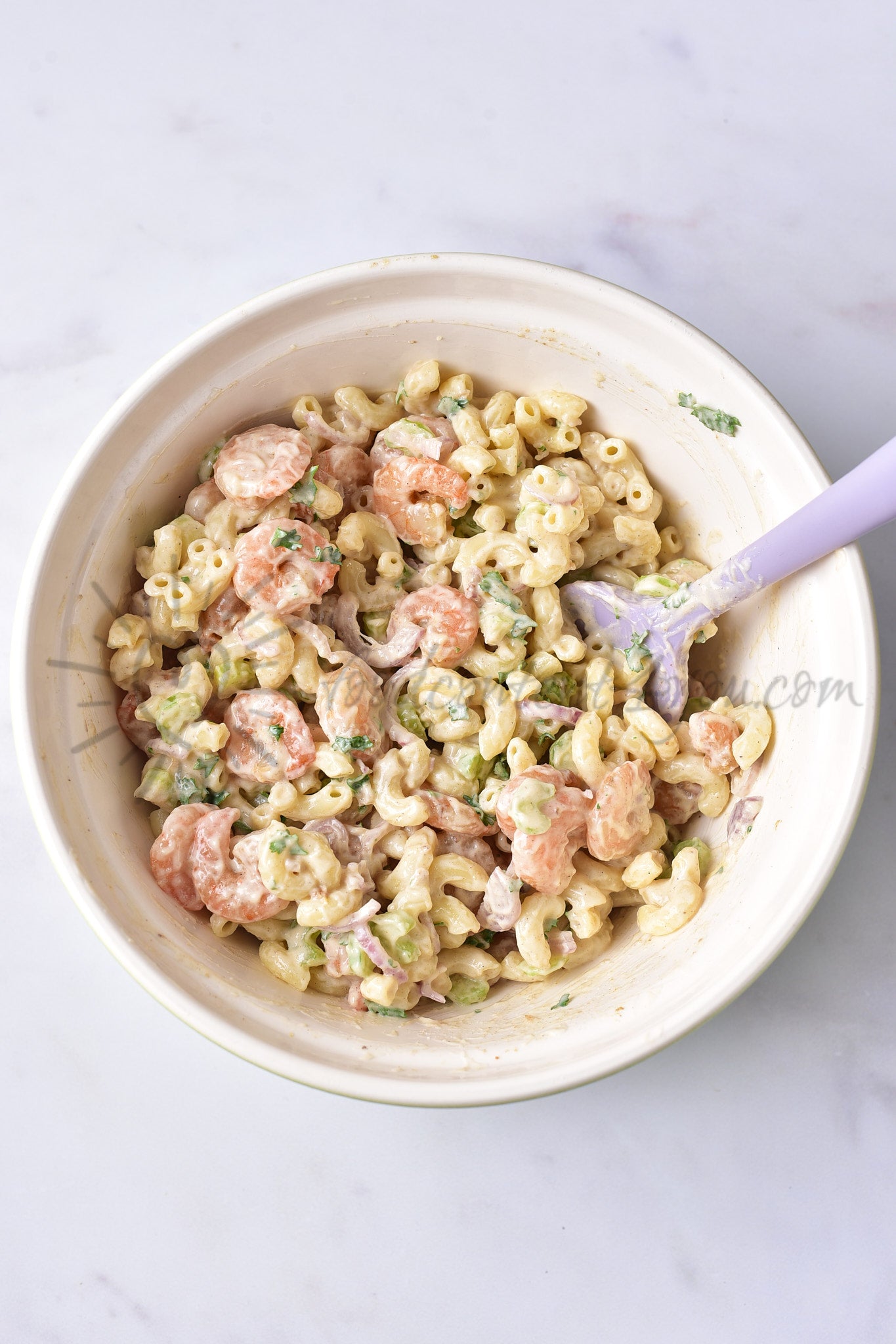 Shrimp Pasta Salad - Set 2 of 5