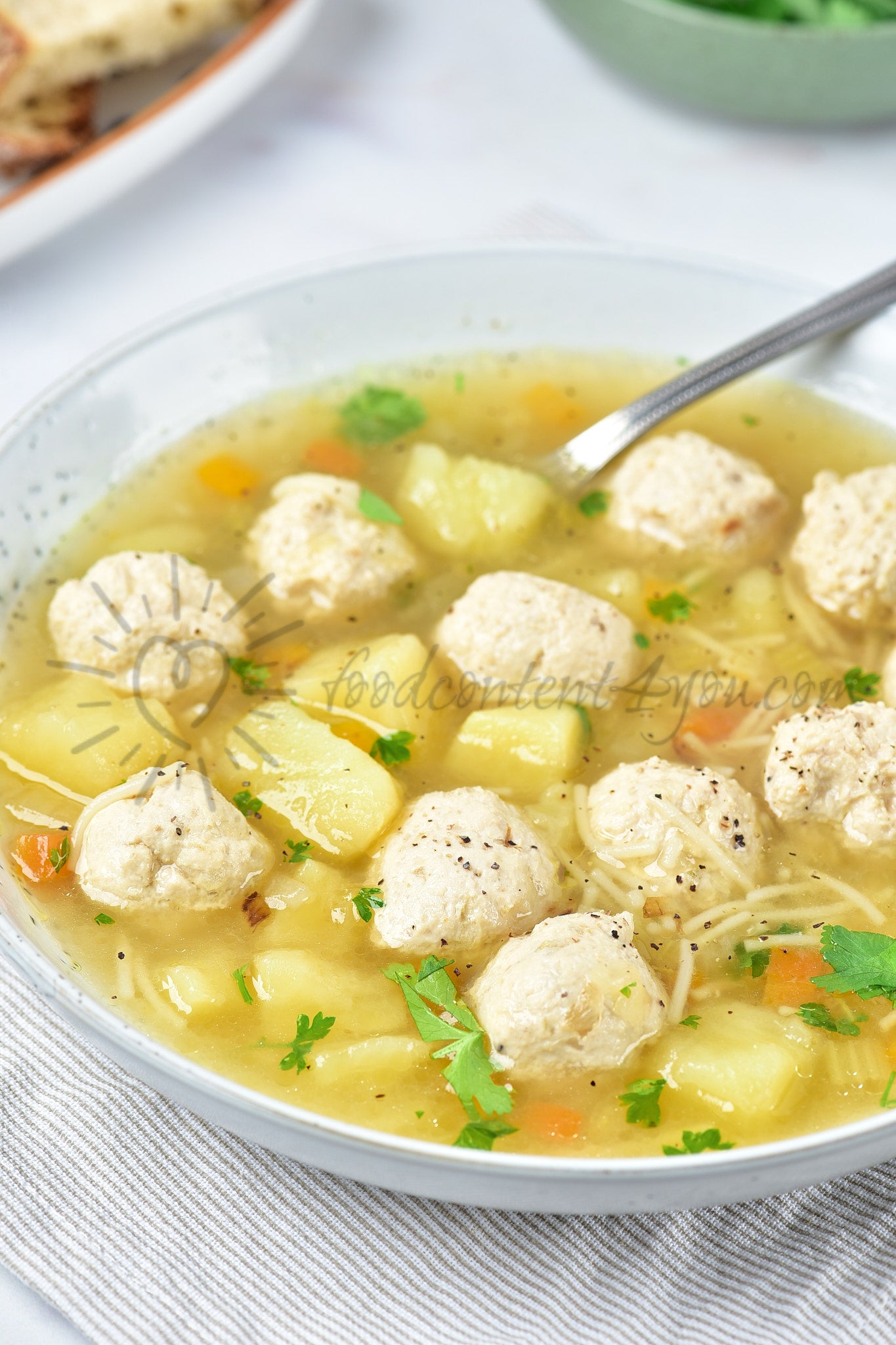 Chicken Meatball Soup - Set 5 of 5