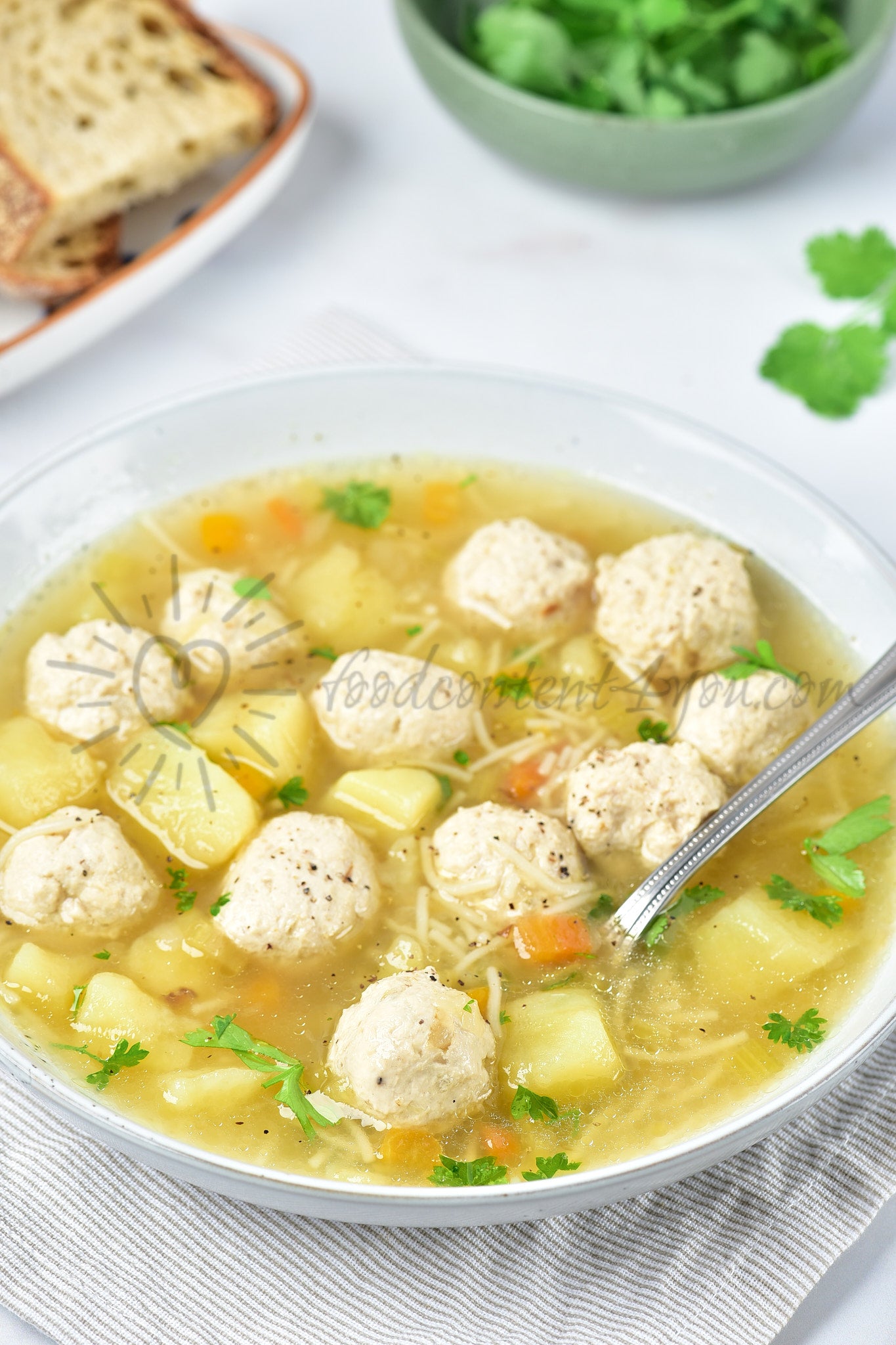 Chicken Meatball Soup - Set 5 of 5