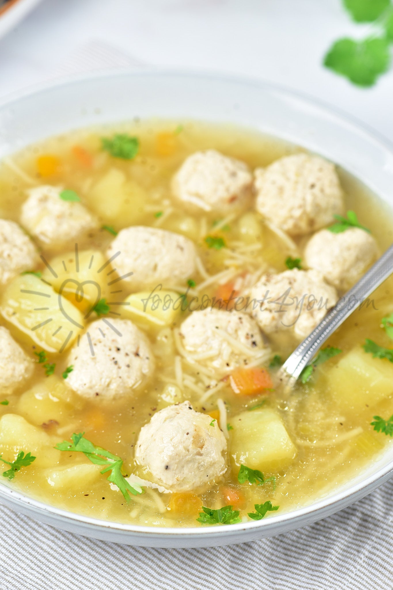 Chicken Meatball Soup - Set 5 of 5