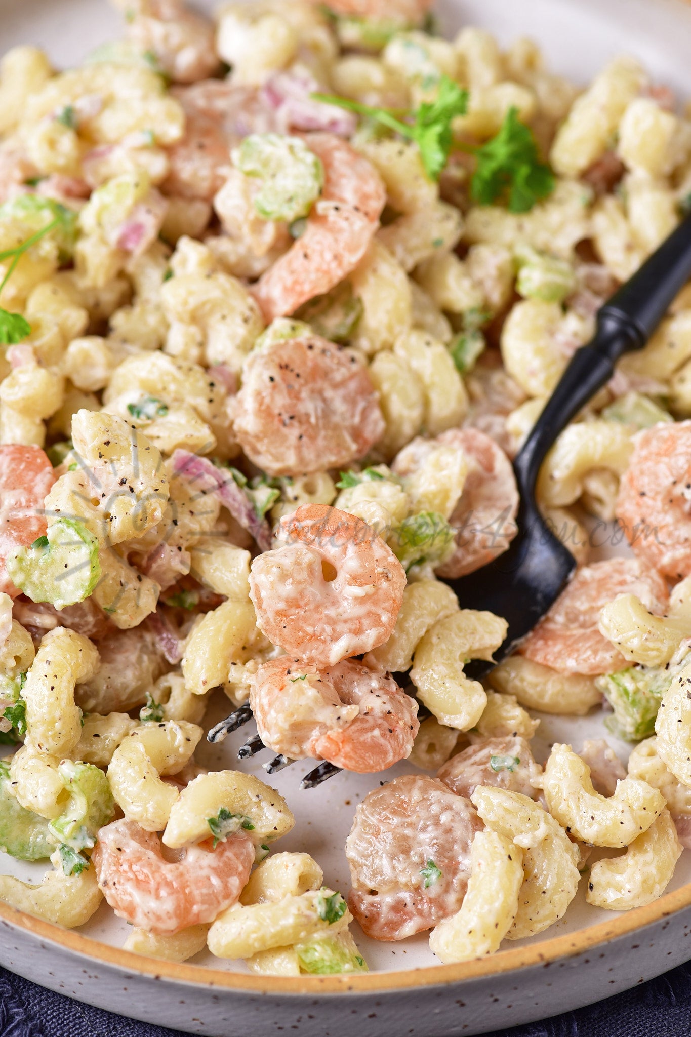 Shrimp Pasta Salad - Set 4 of 5