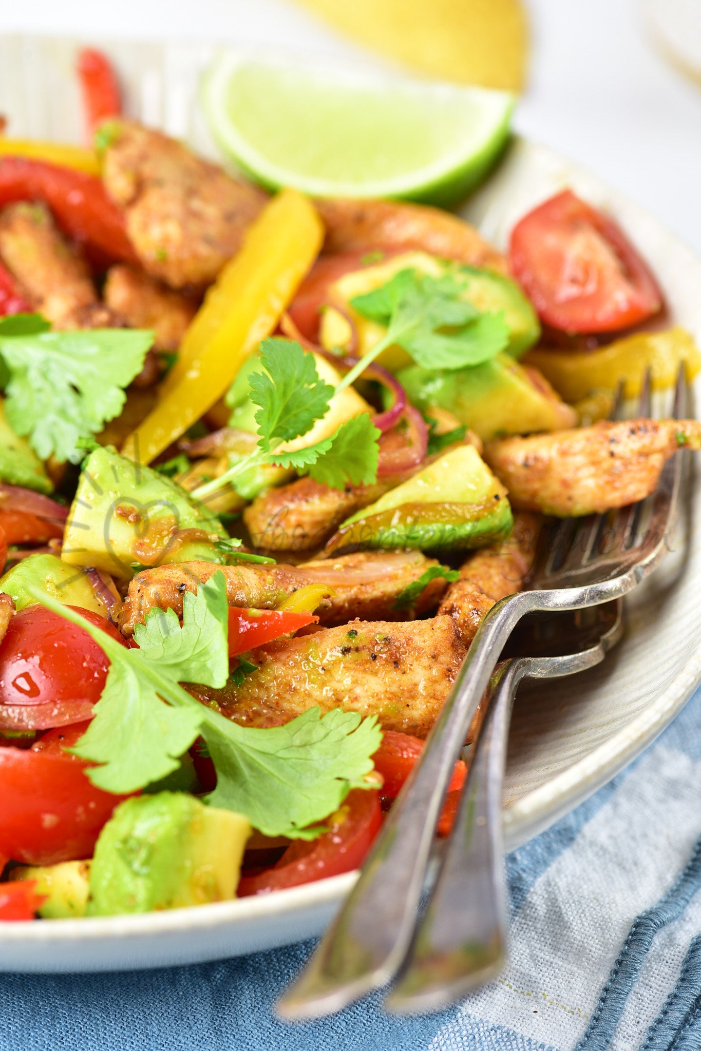 Chicken Fajita Salad - Set 1 of 5