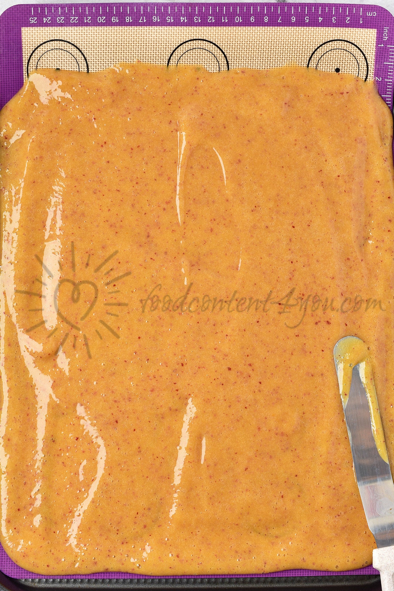 Peaches Fruit Leather - Set 4 of 5