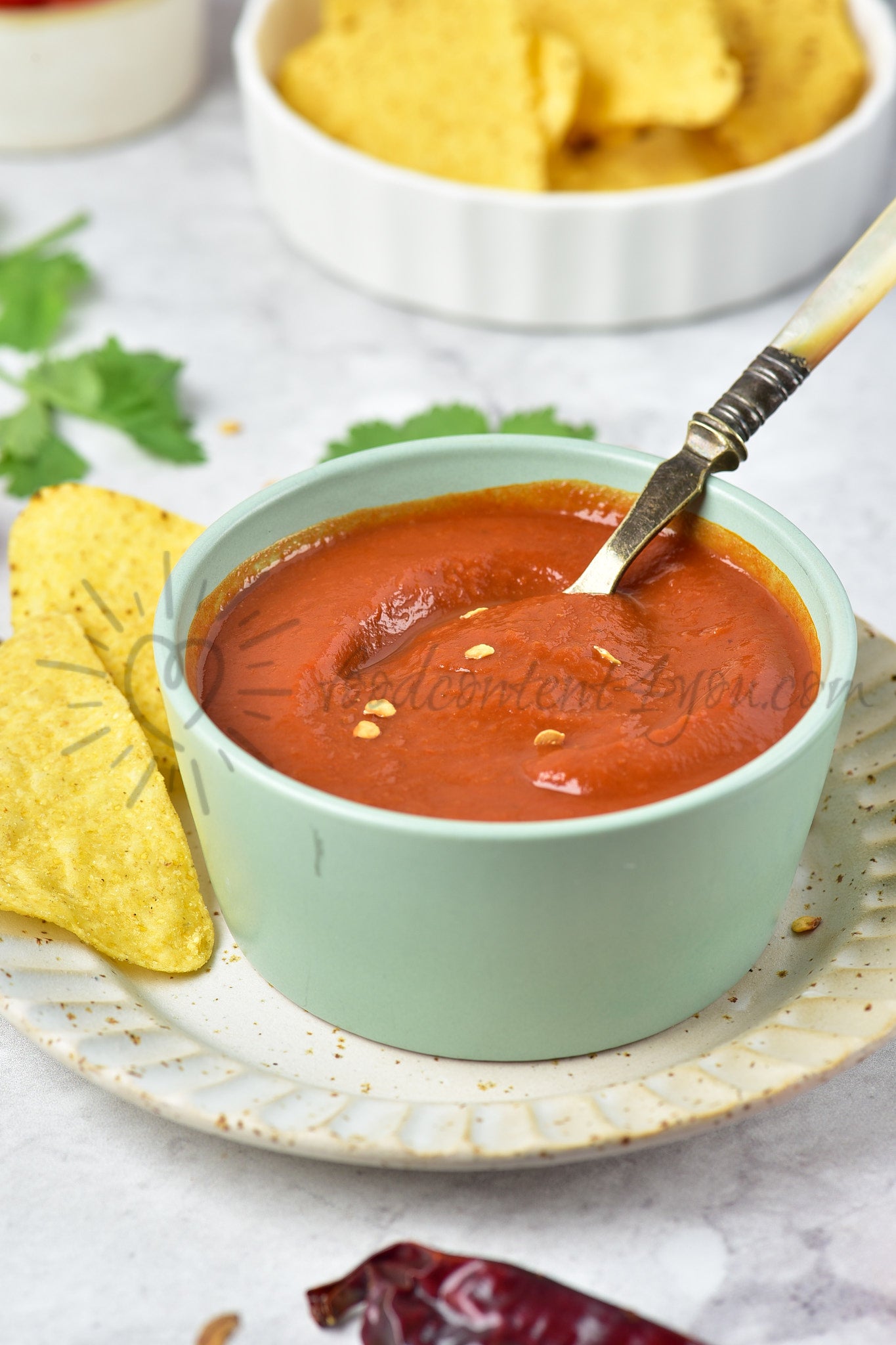 Guajillo Sauce - Set 5 of 5