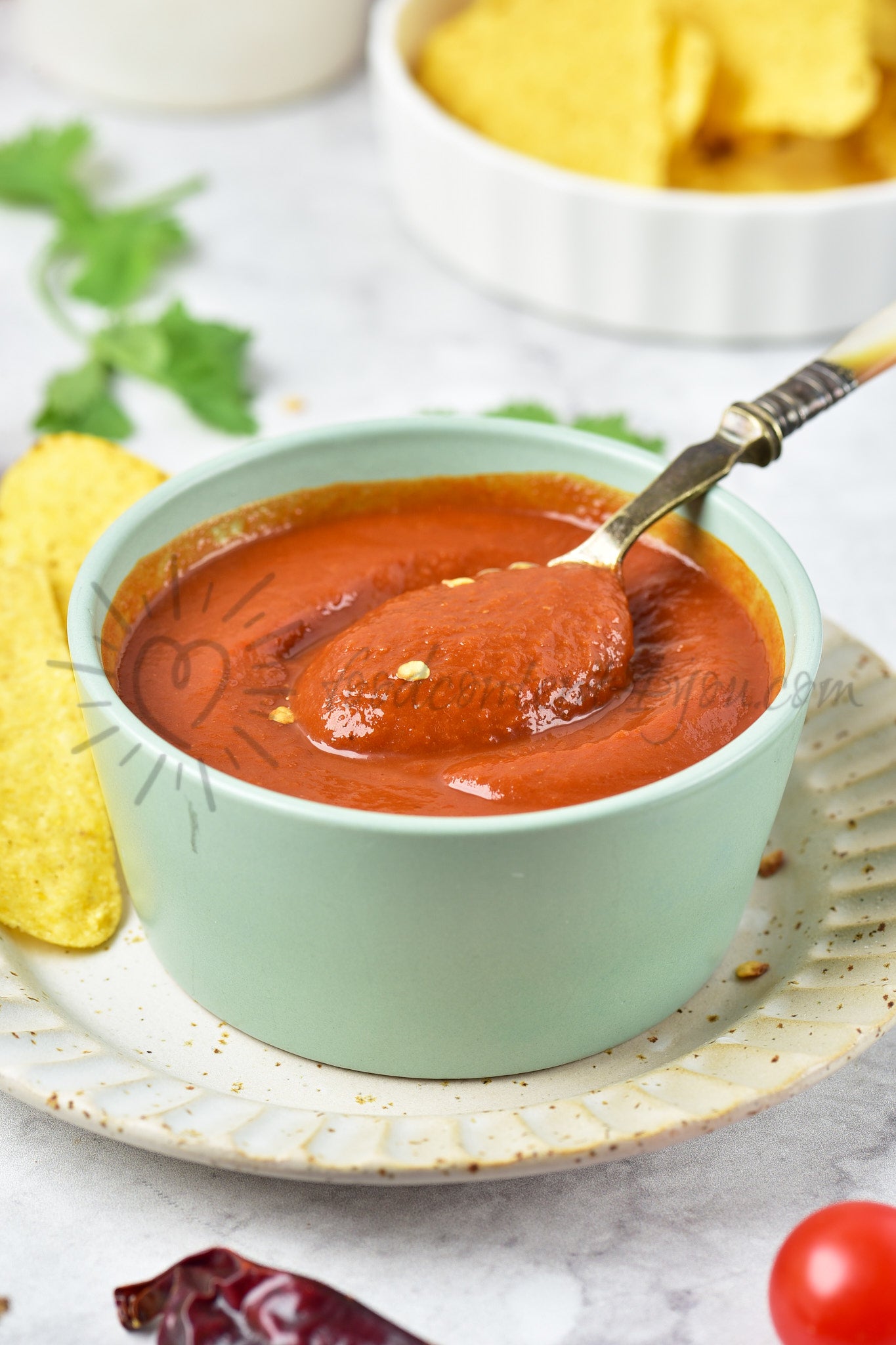 Guajillo Sauce - Set 5 of 5