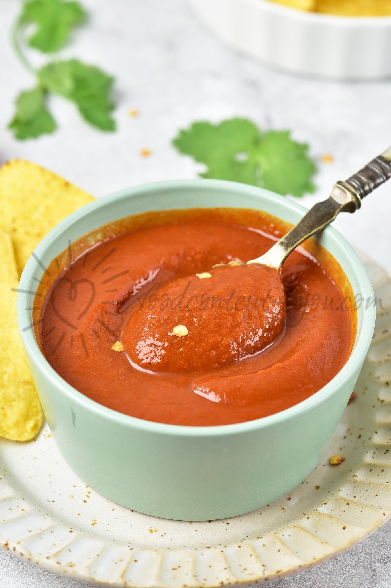 Guajillo Sauce - Set 5 of 5