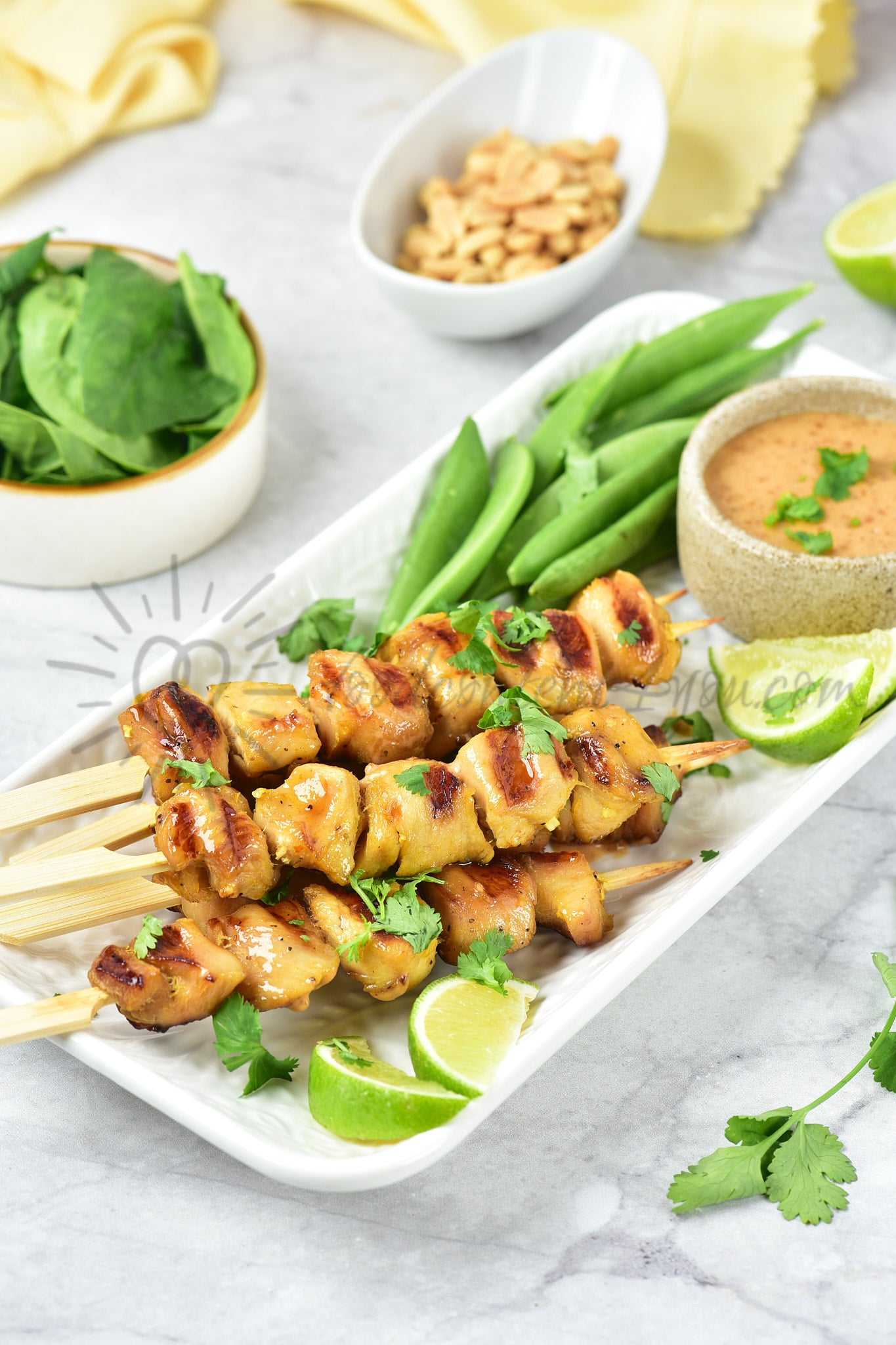 Chicken Satay - Set 2 of 5