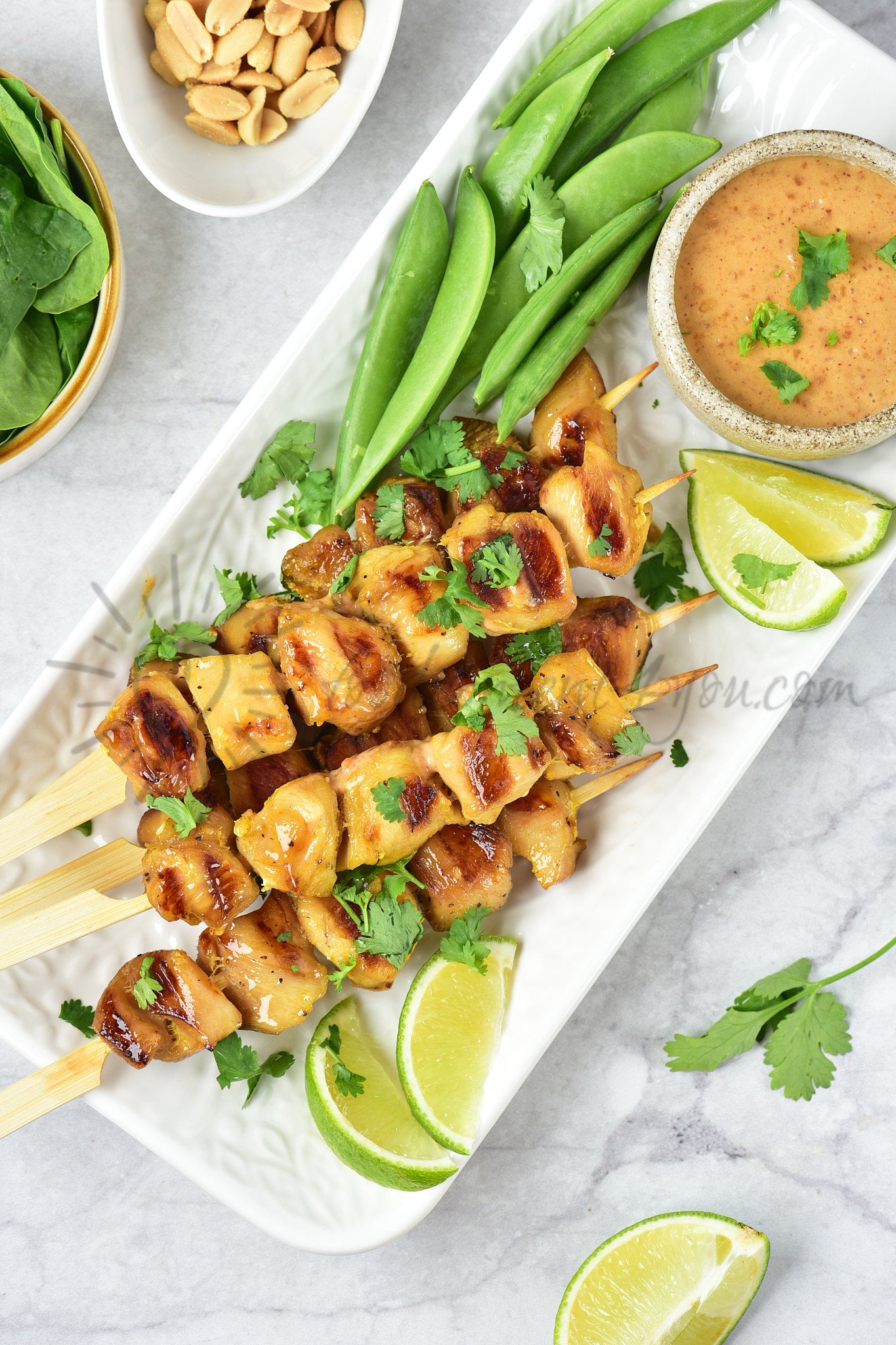 Chicken Satay - Set 2 of 5