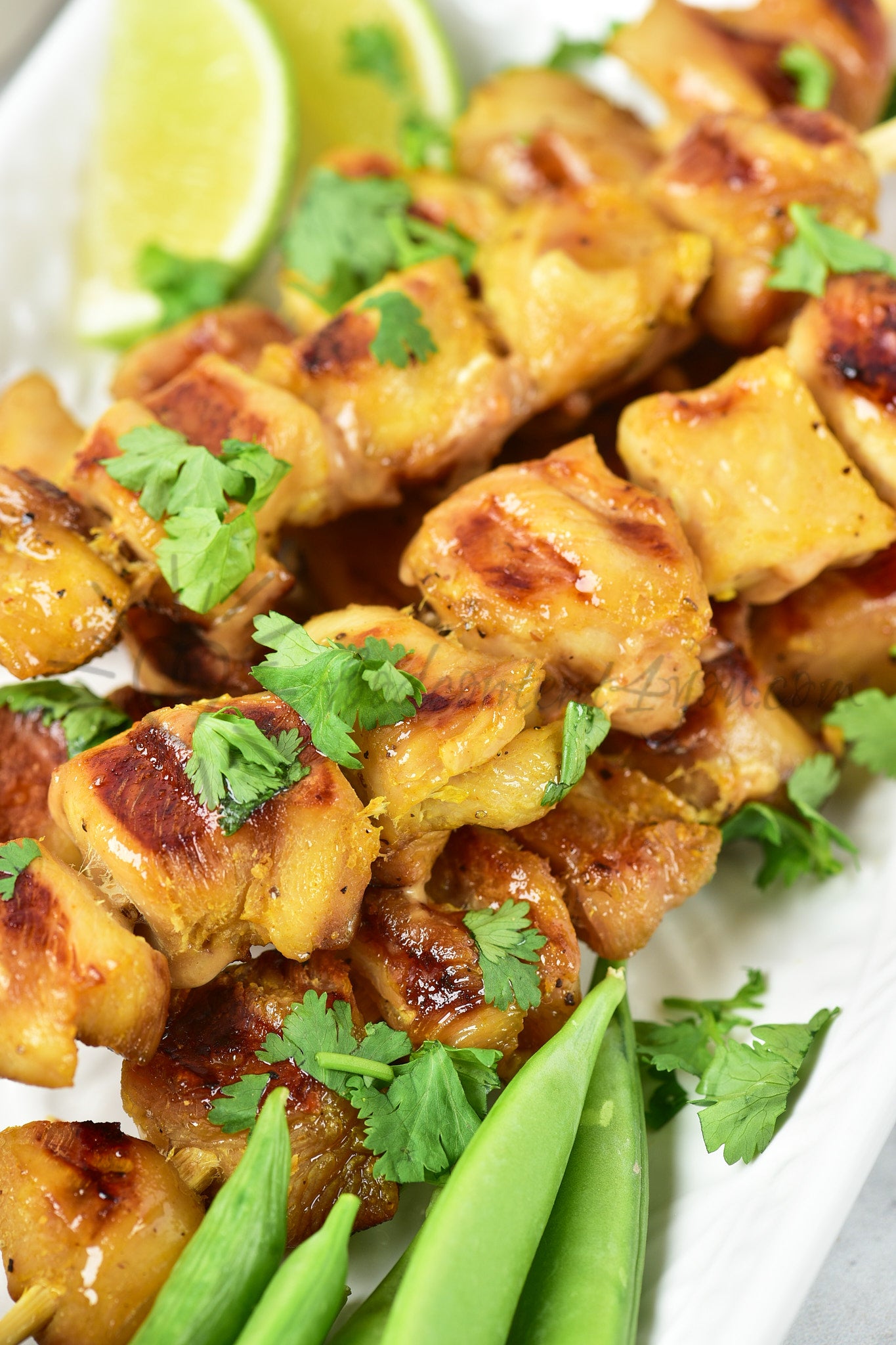 Chicken Satay - Set 2 of 5