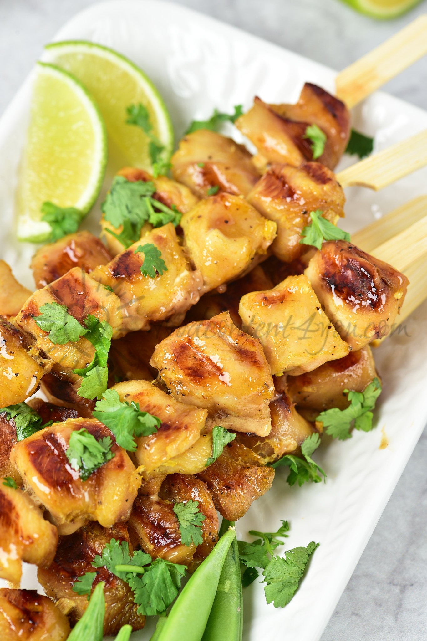 Chicken Satay - Set 2 of 5