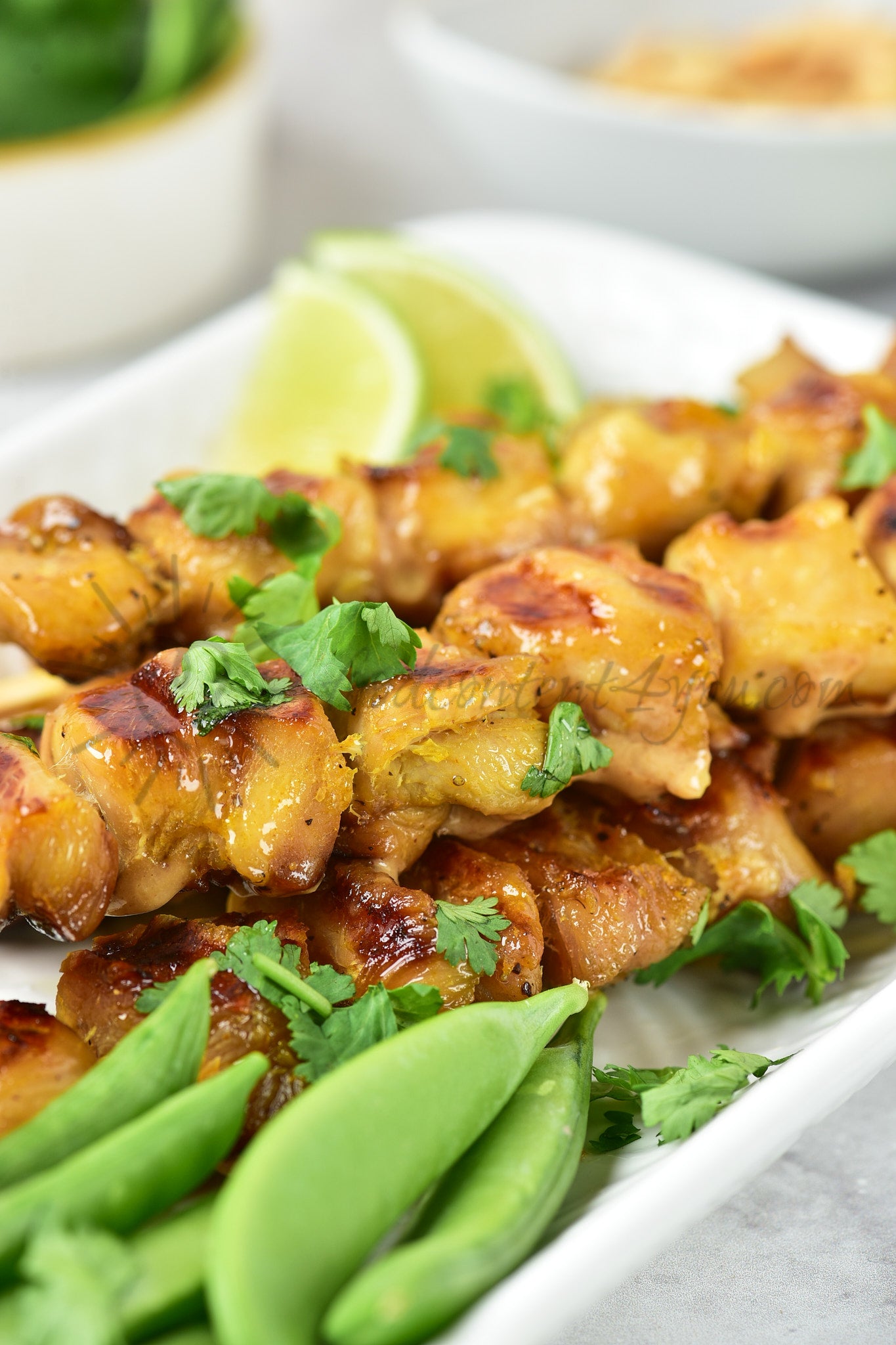 Chicken Satay - Set 2 of 5