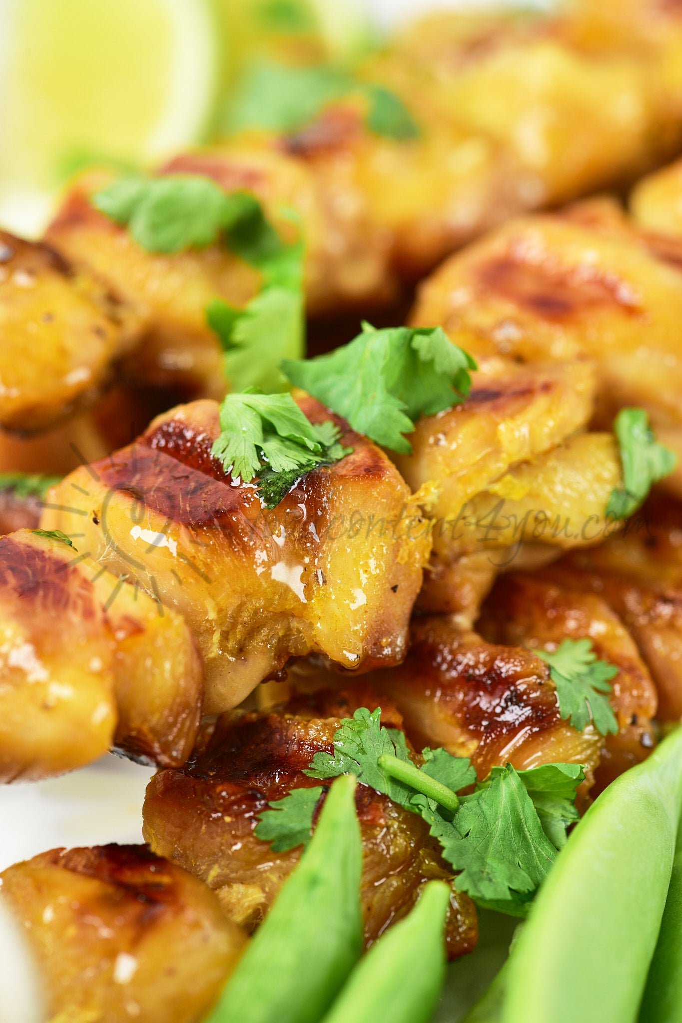 Chicken Satay - Set 2 of 5