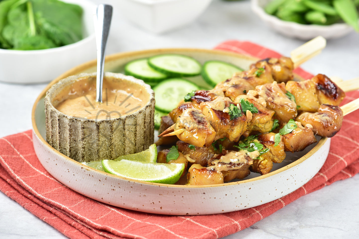 Chicken Satay - Set 4 of 5