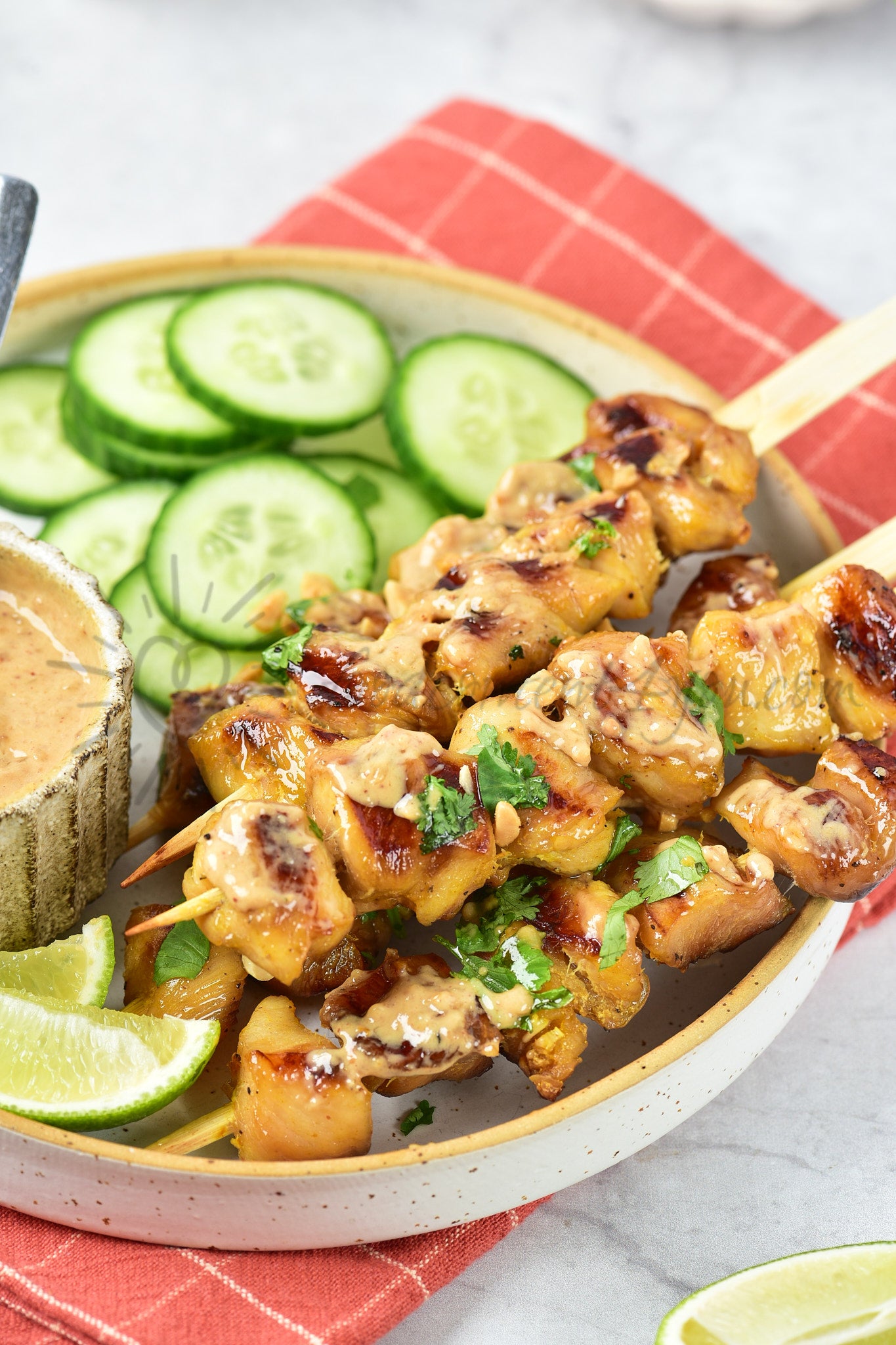 Chicken Satay - Set 4 of 5