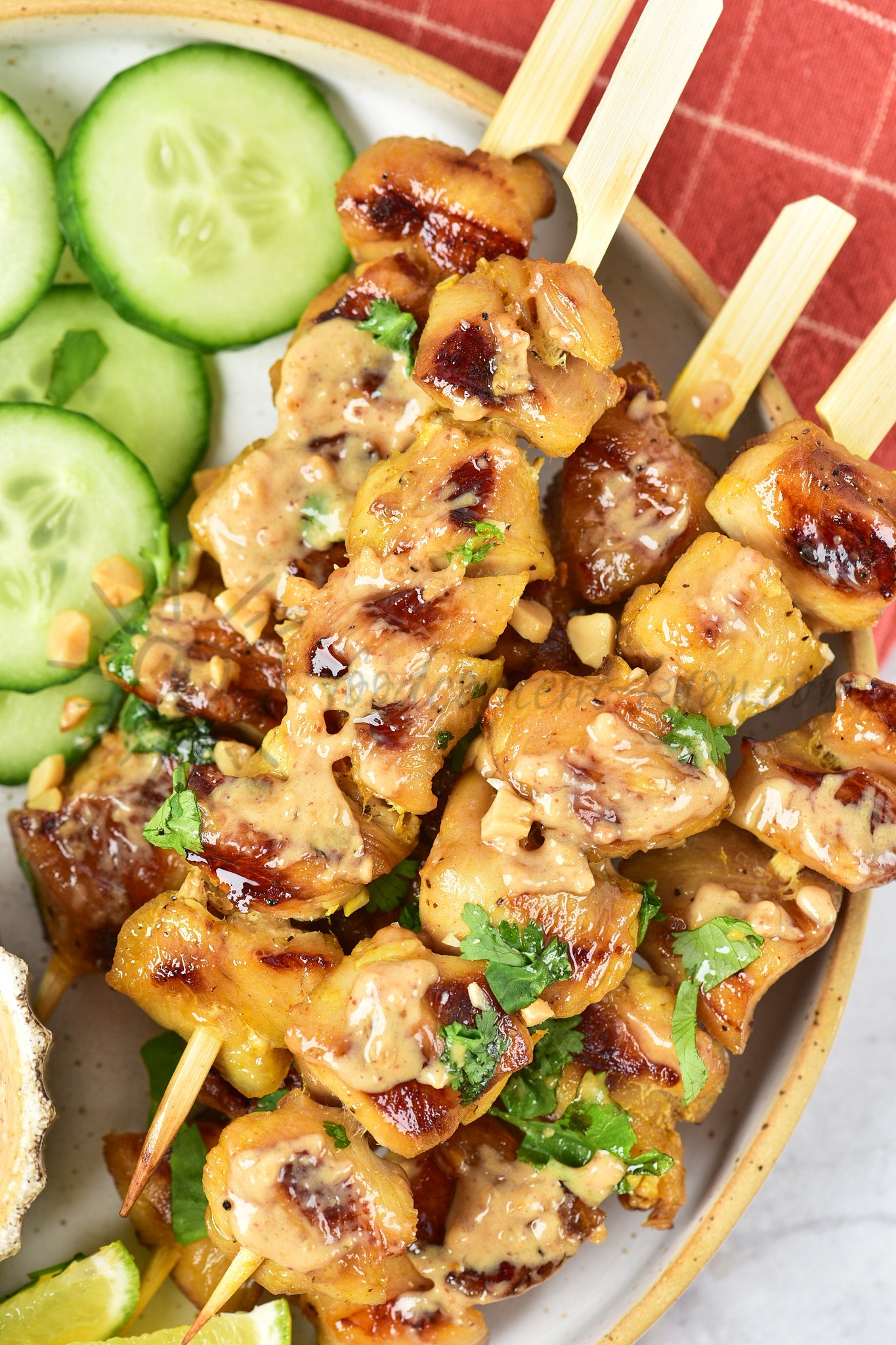 Chicken Satay - Set 4 of 5