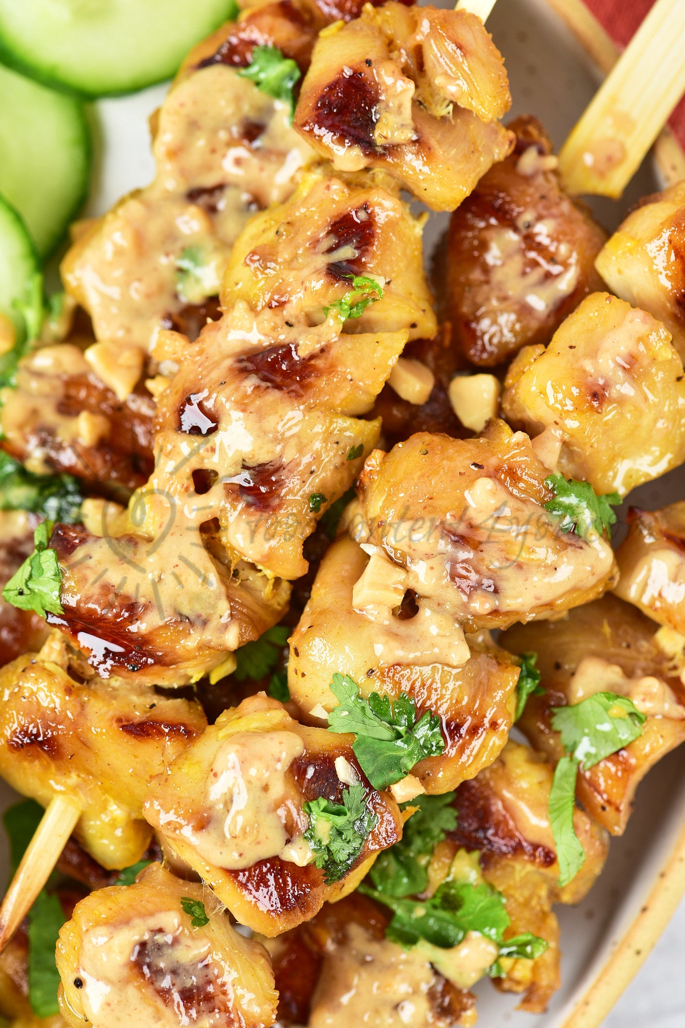 Chicken Satay - Set 4 of 5
