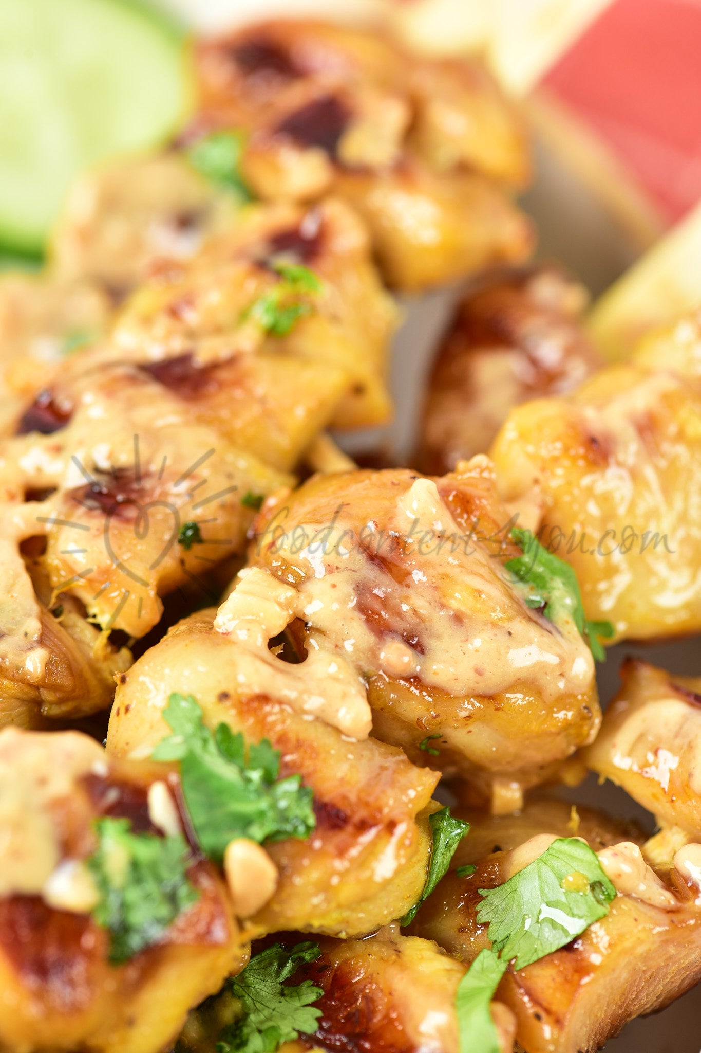Chicken Satay - Set 4 of 5