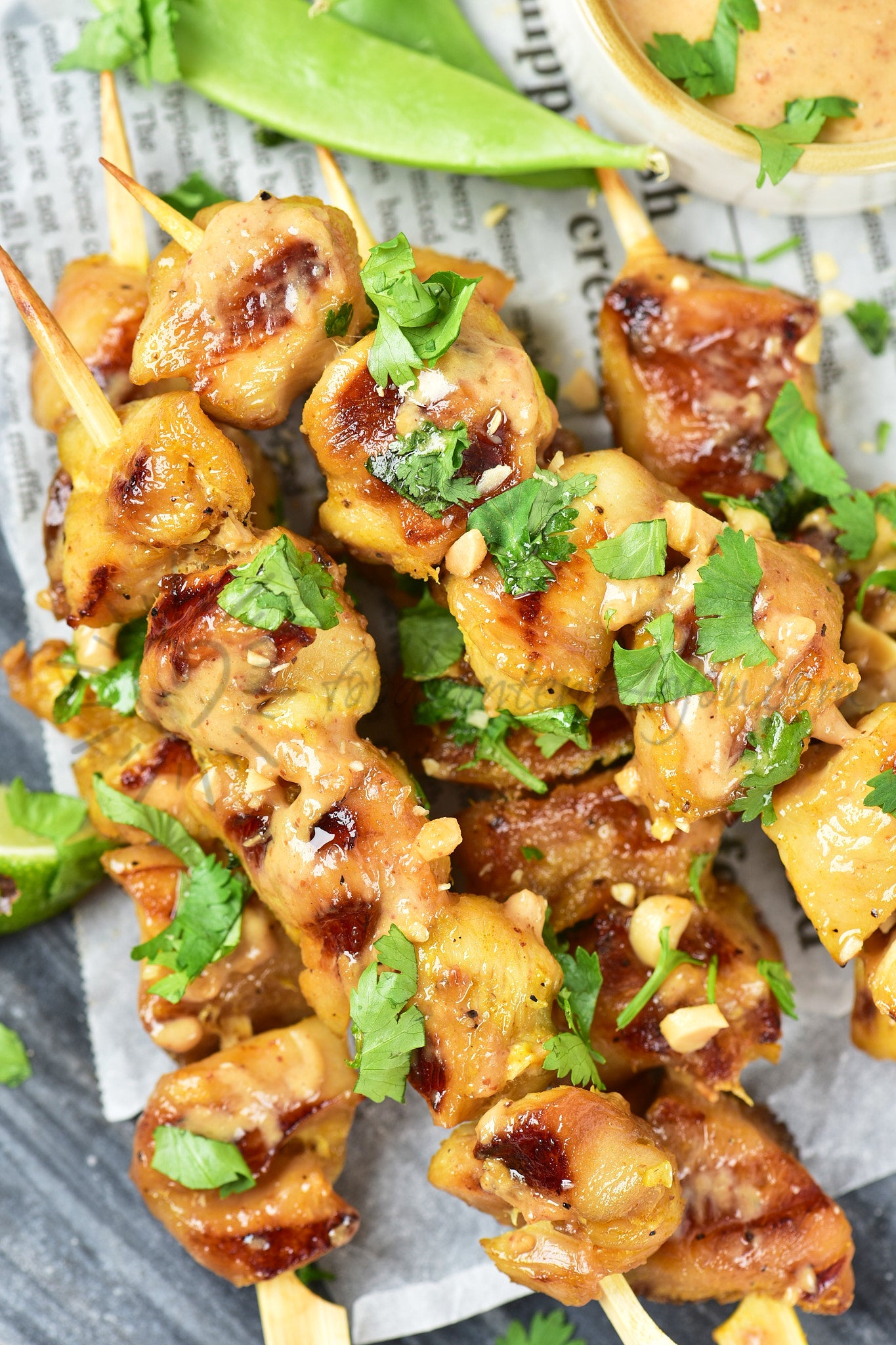 Chicken Satay - Set 5 of 5