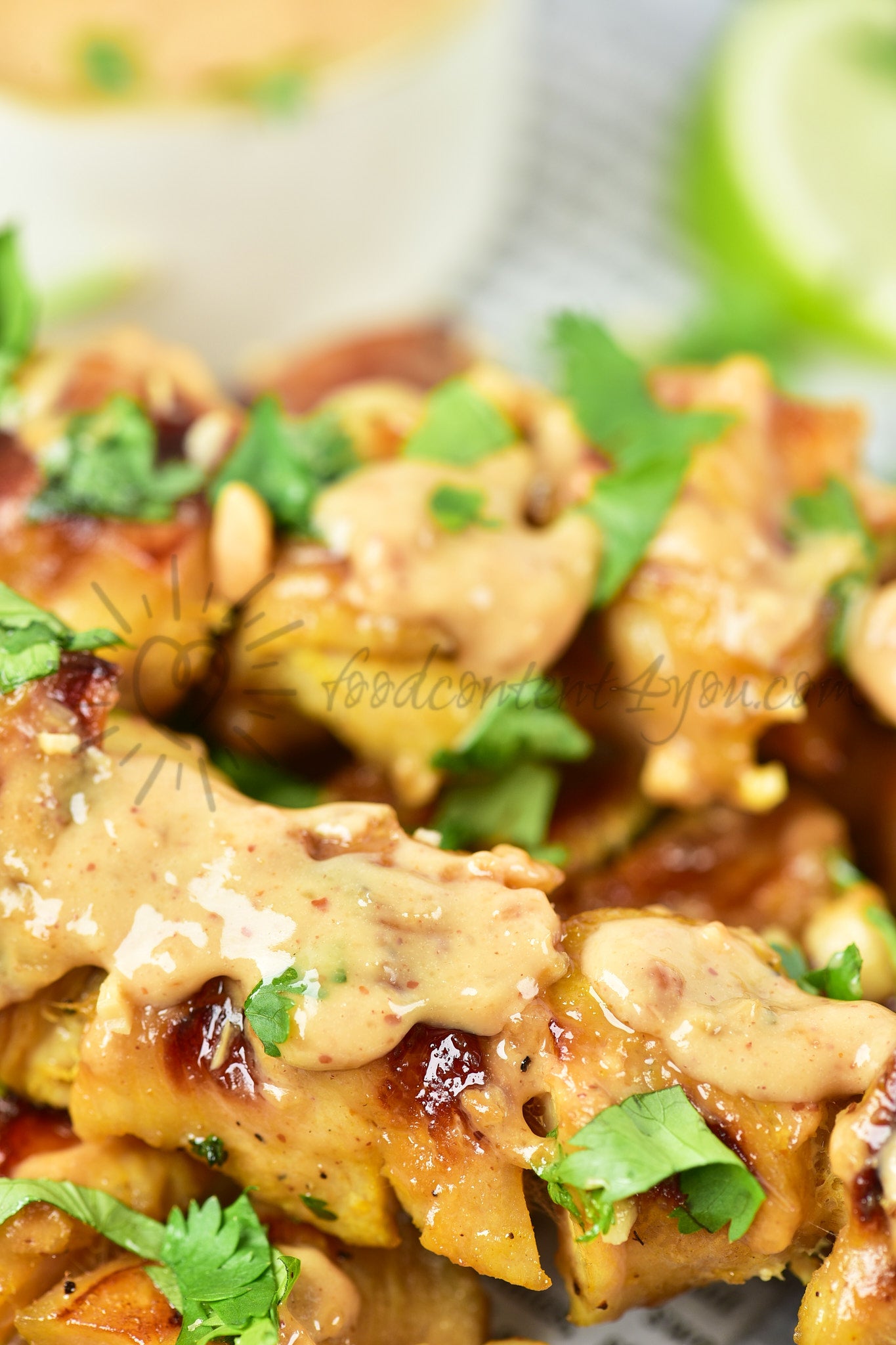 Chicken Satay - Set 5 of 5