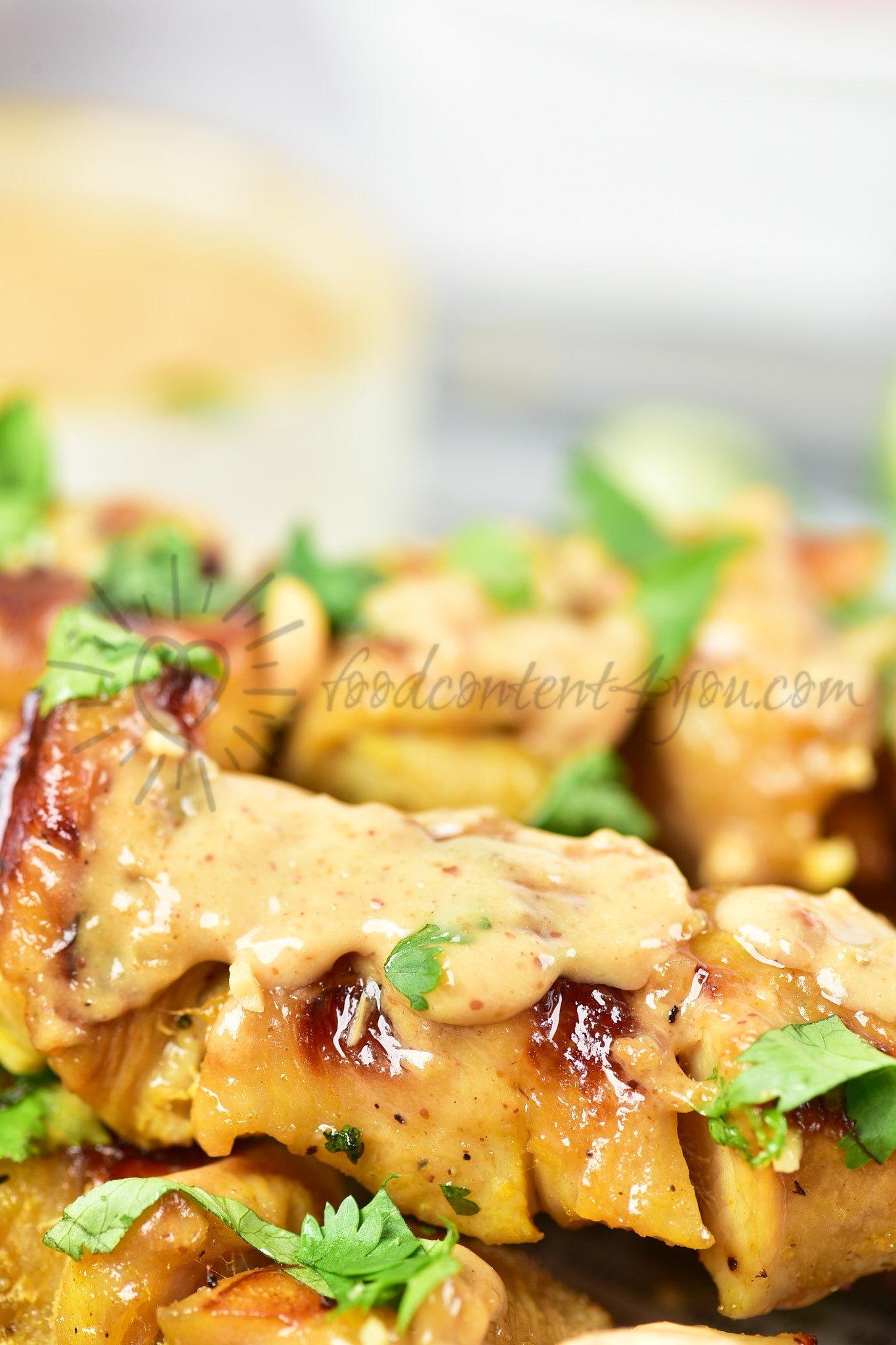 Chicken Satay - Set 5 of 5