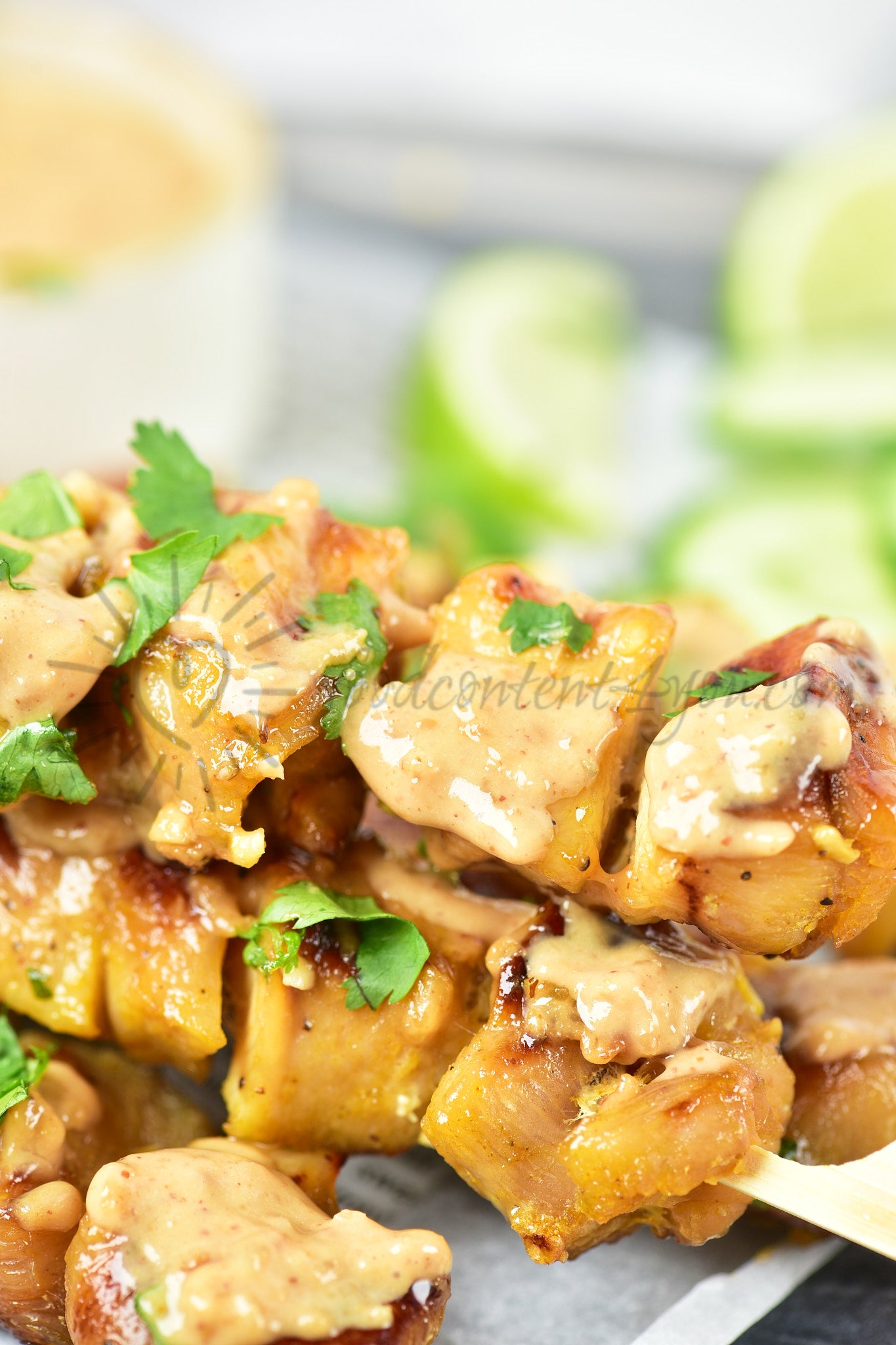 Chicken Satay - Set 5 of 5