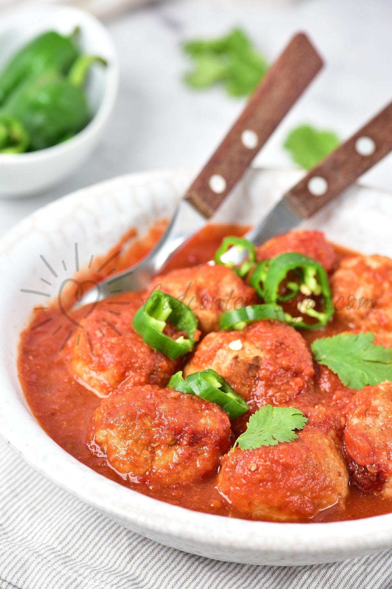 Mexican Meatballs (oven baked) - Set 1 of 5
