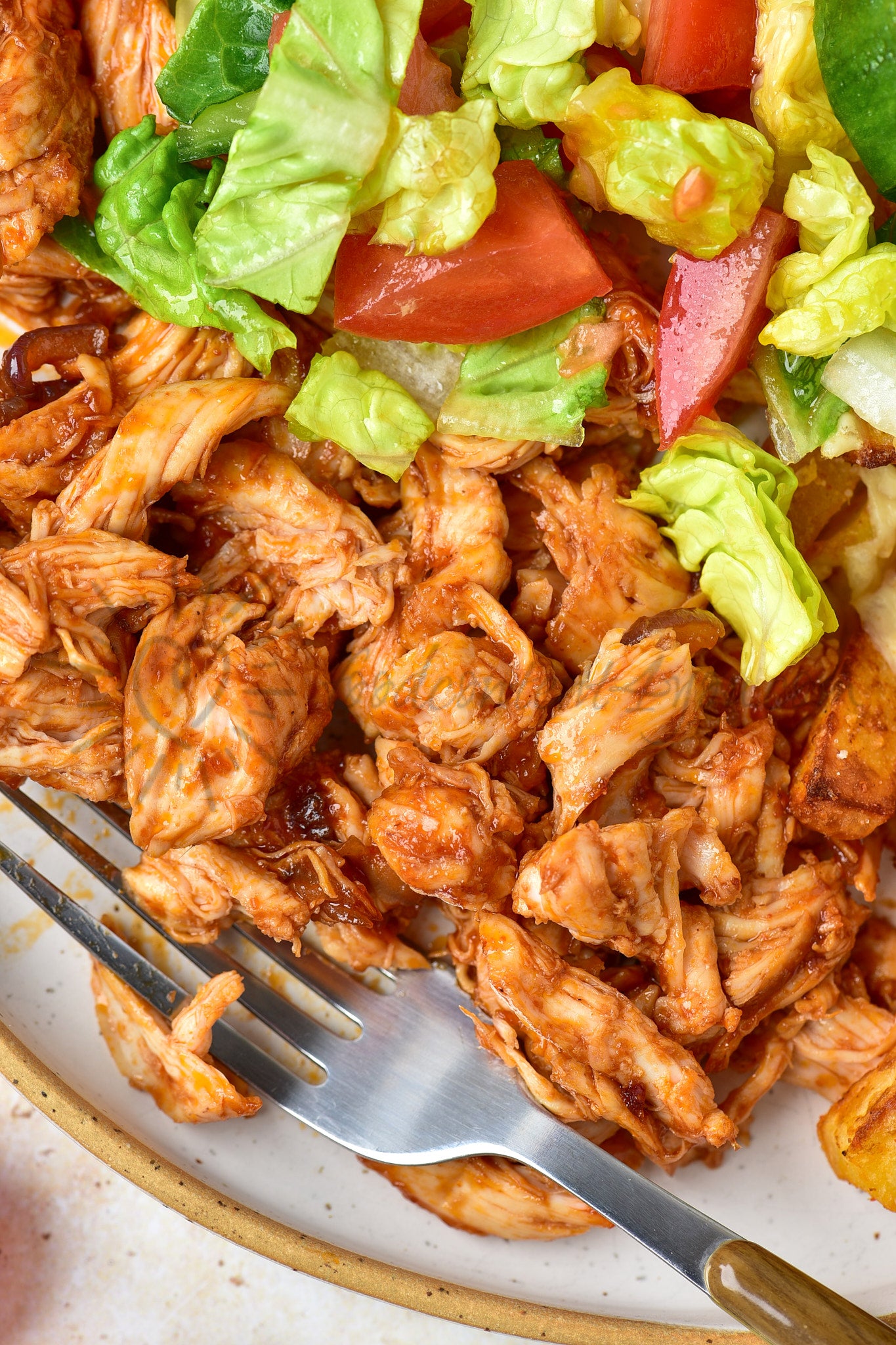 Cheesy BBQ Chicken Loaded Fries - Set 1 of 2