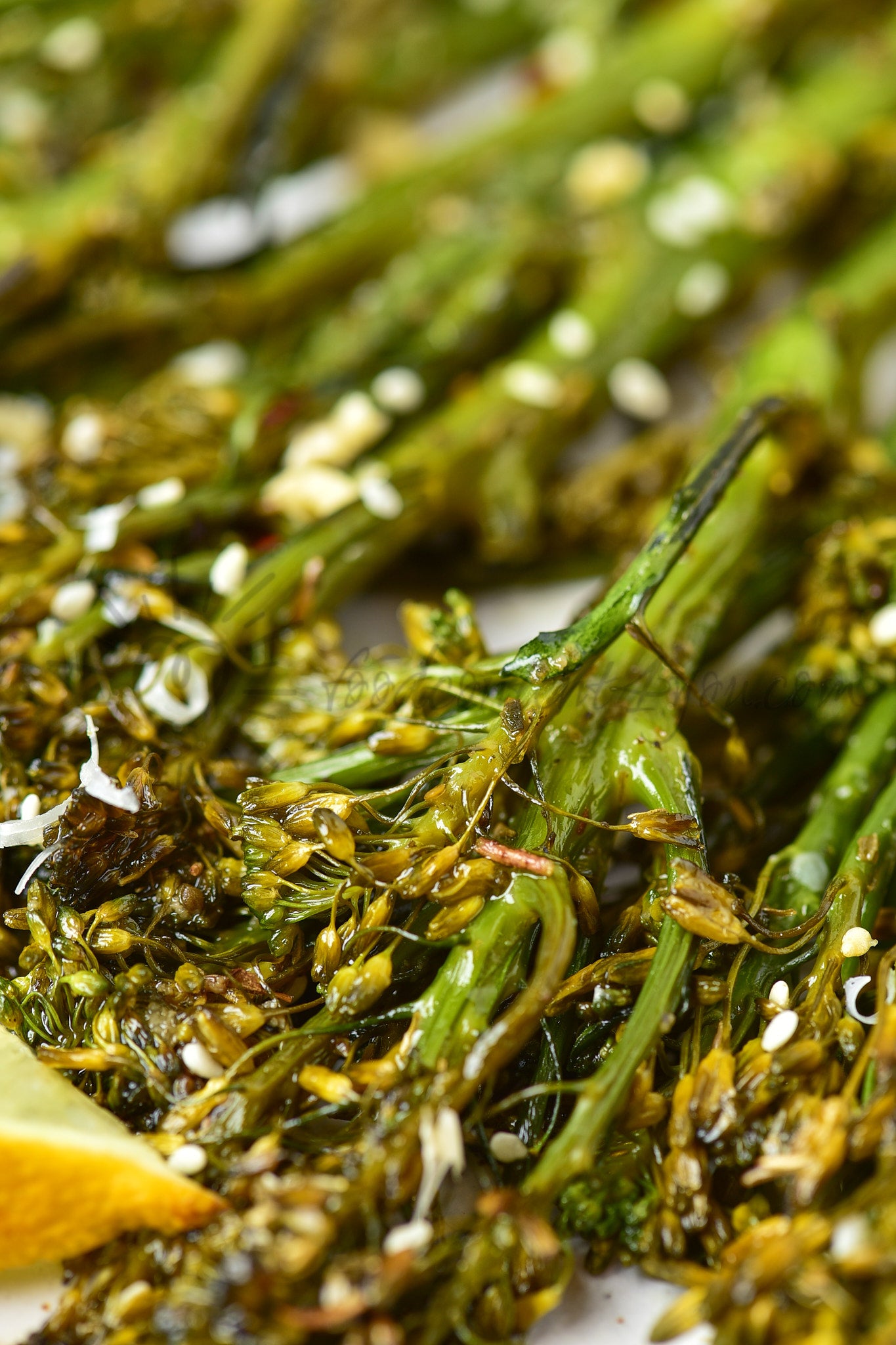 Roasted Tenderstem Broccoli - Set 3 of 5