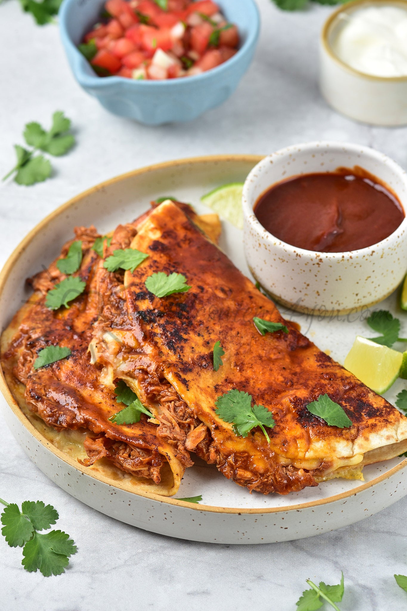 Chicken Birria Tacos - Set 2 of 5