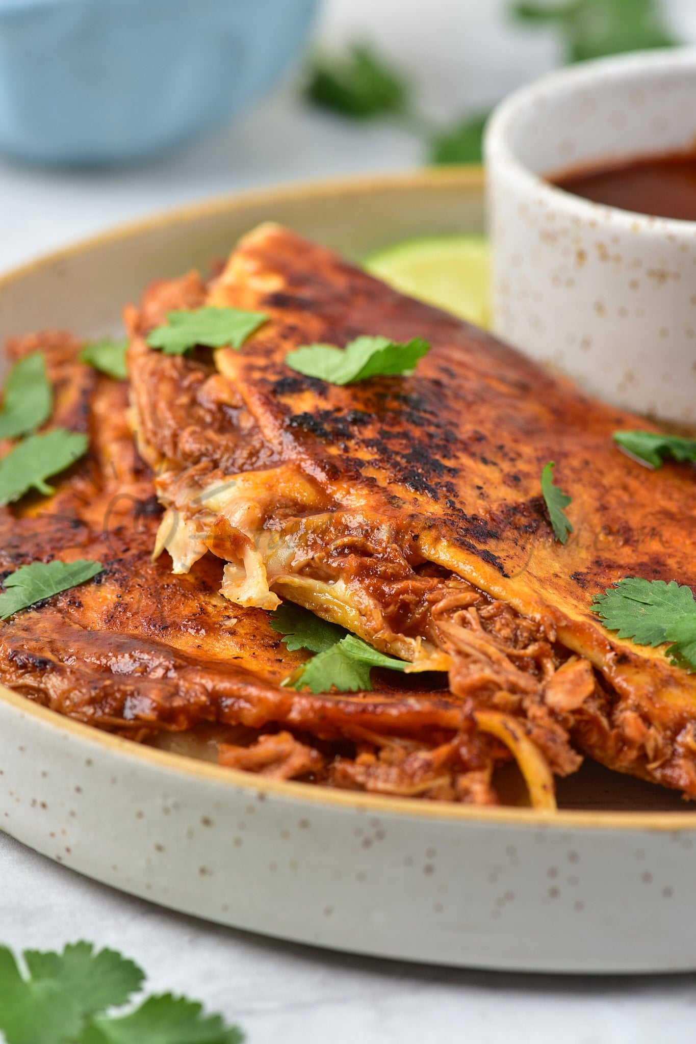 Chicken Birria Tacos - Set 2 of 5