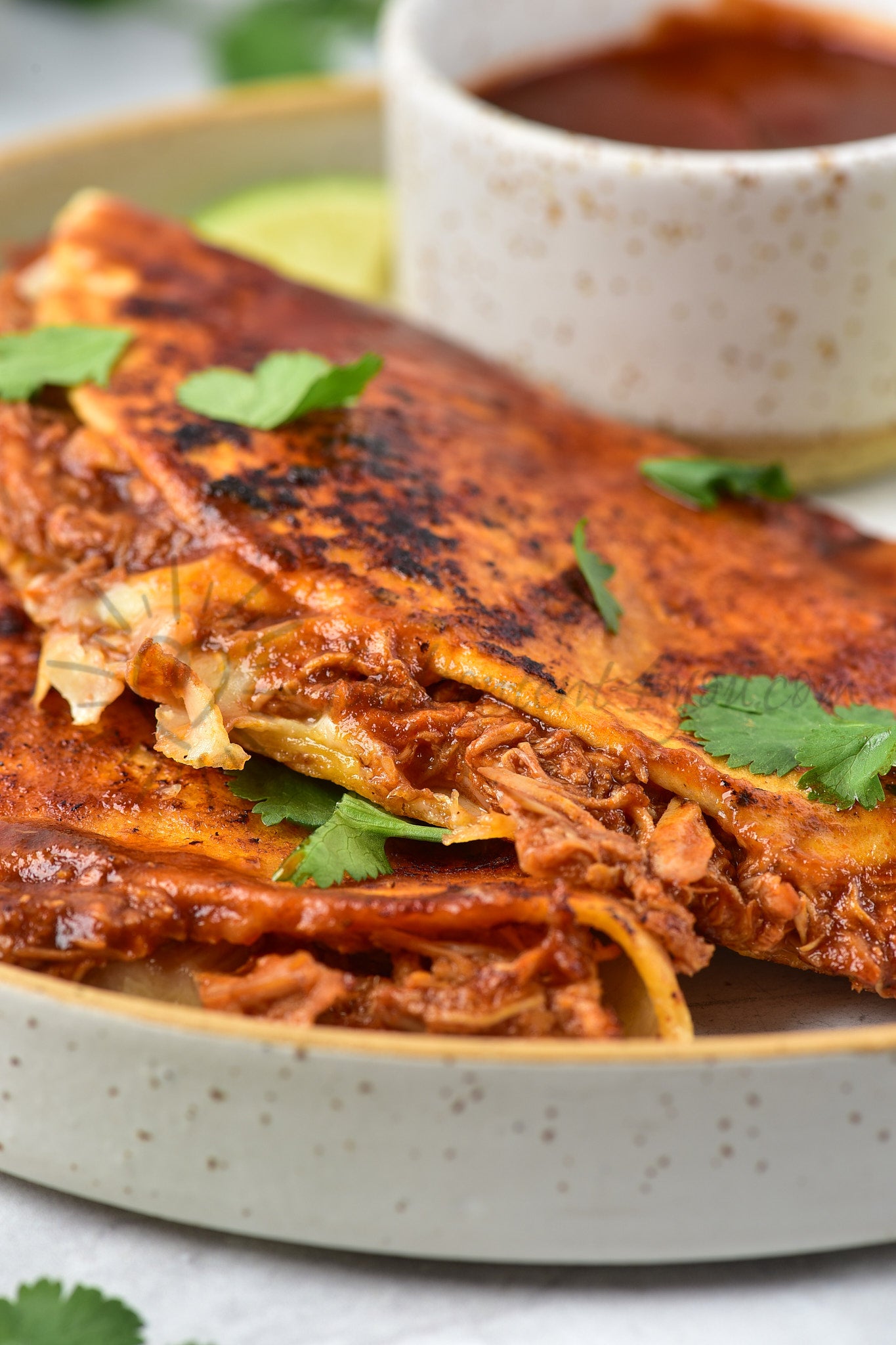 Chicken Birria Tacos - Set 2 of 5