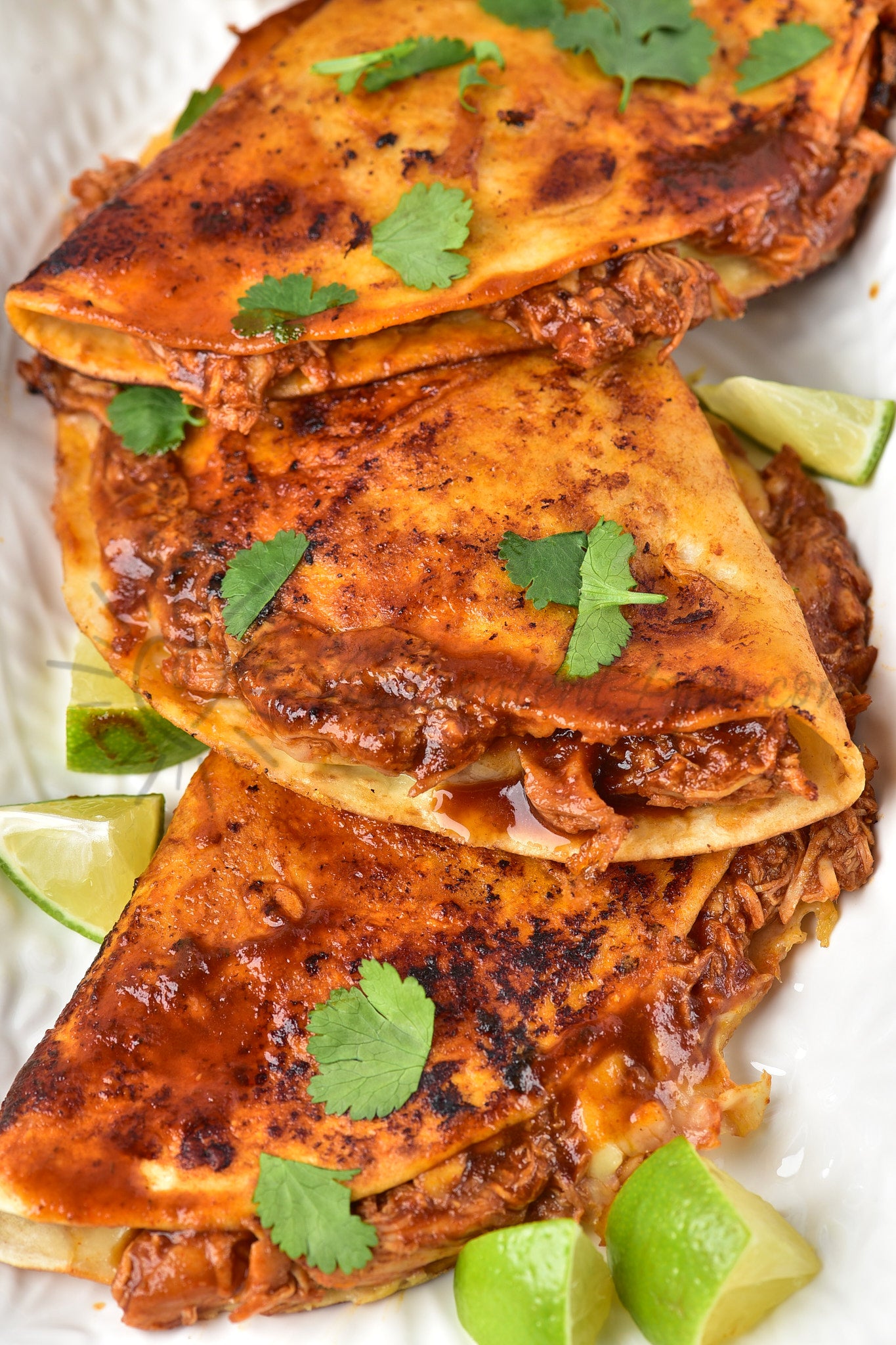 Chicken Birria Tacos - Set 3 of 5