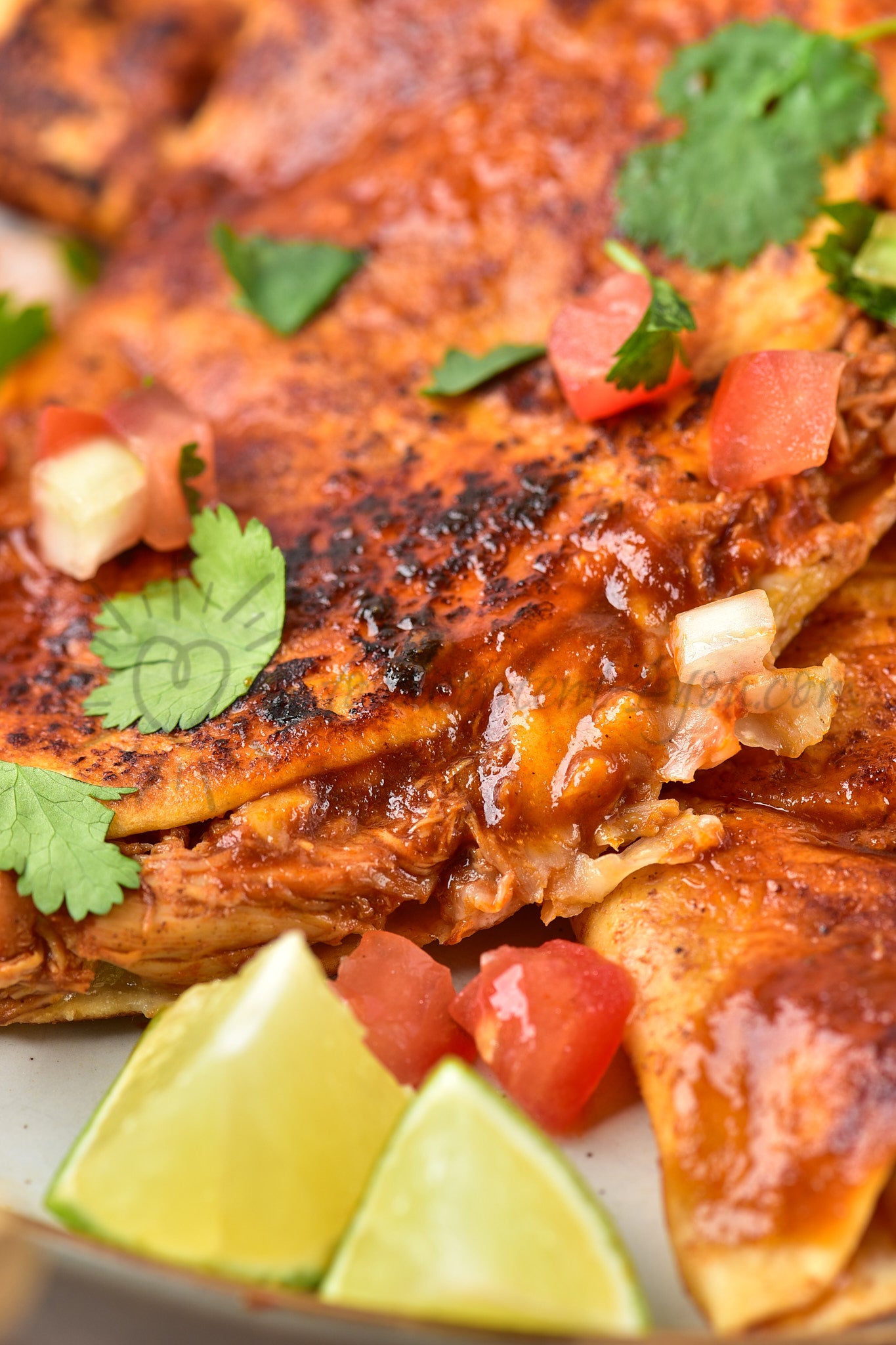 Chicken Birria Tacos - Set 4 of 5