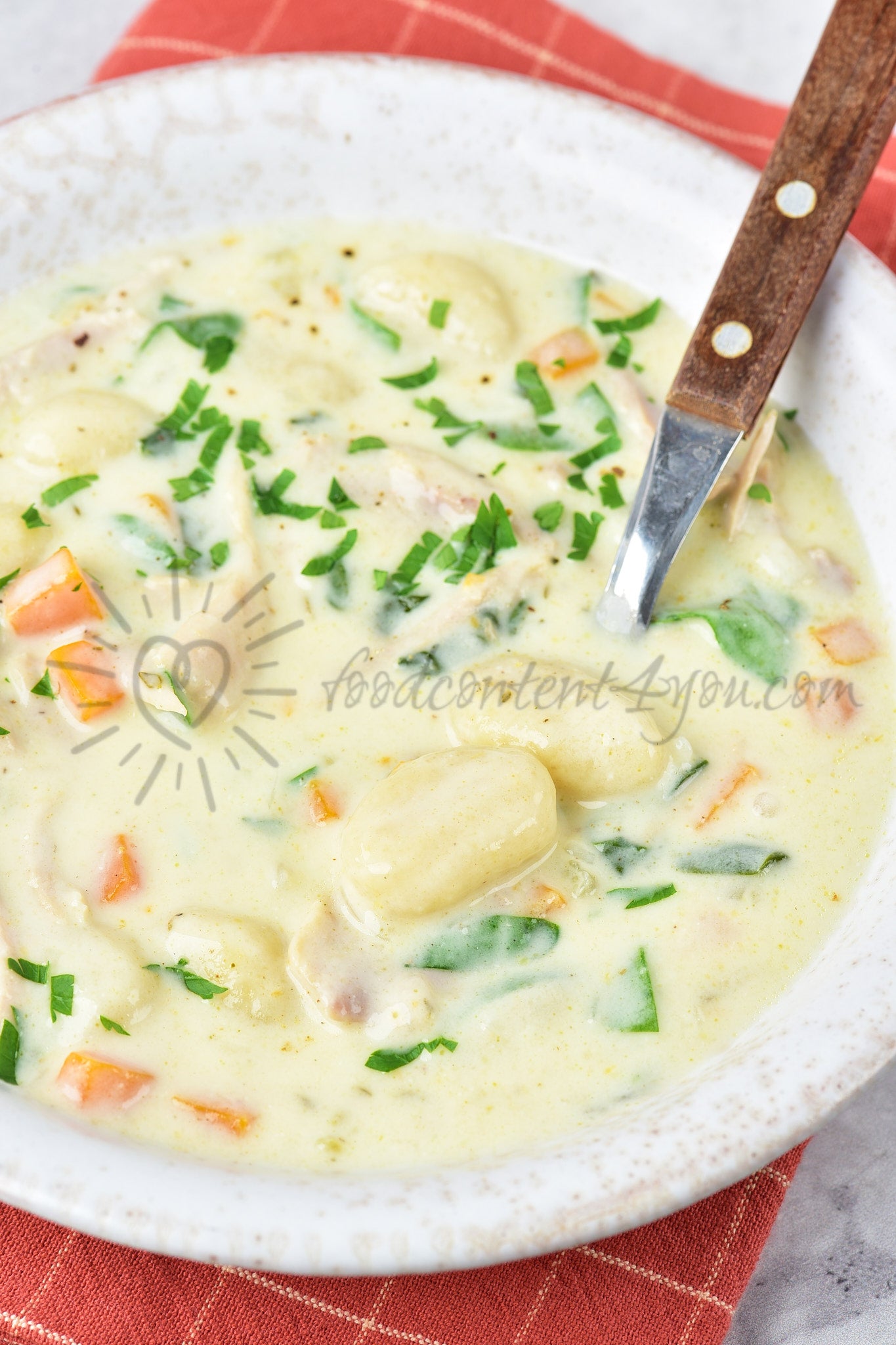 Chicken Gnocchi Soup - Set 3 of 5