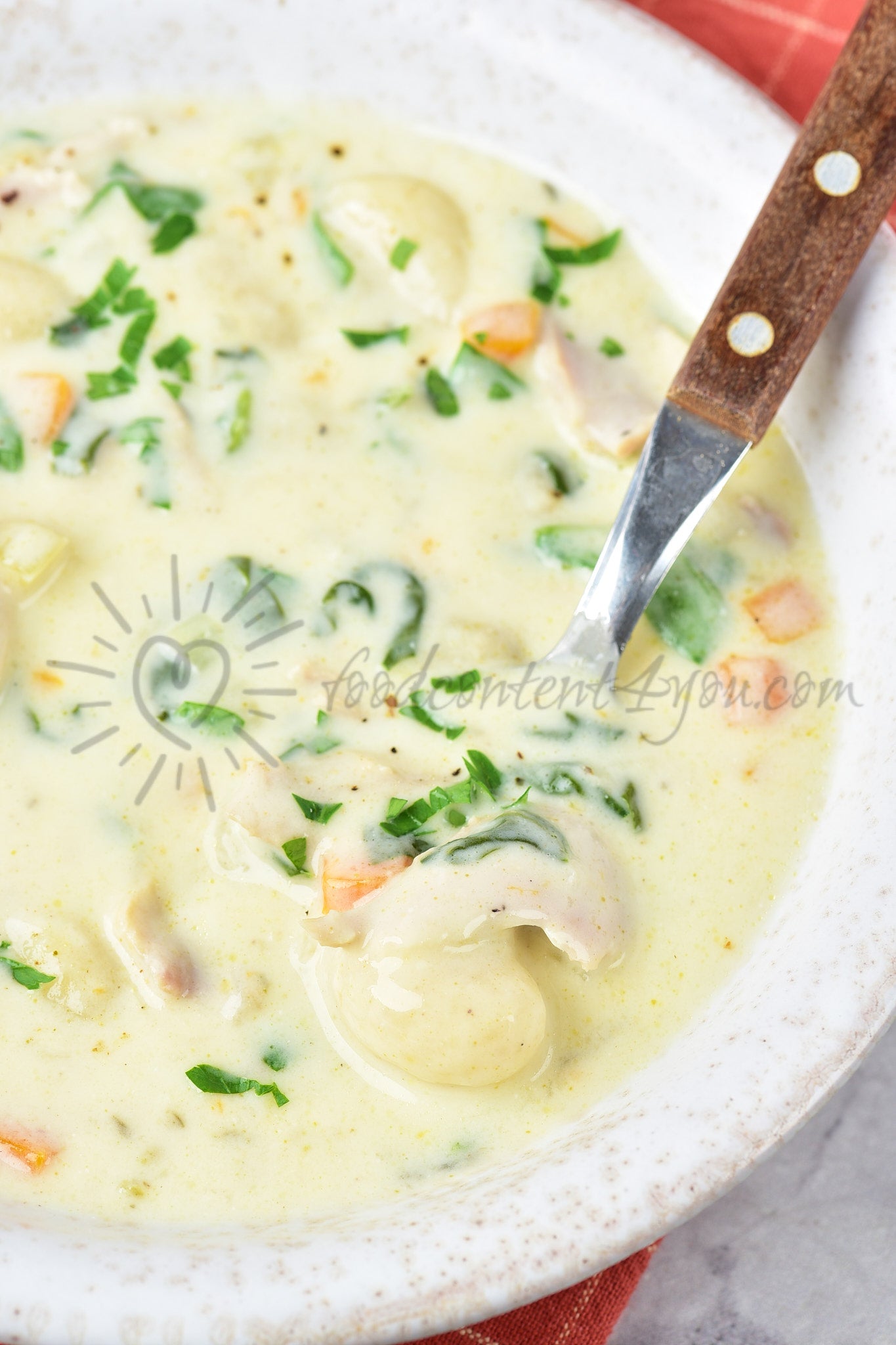 Chicken Gnocchi Soup - Set 3 of 5