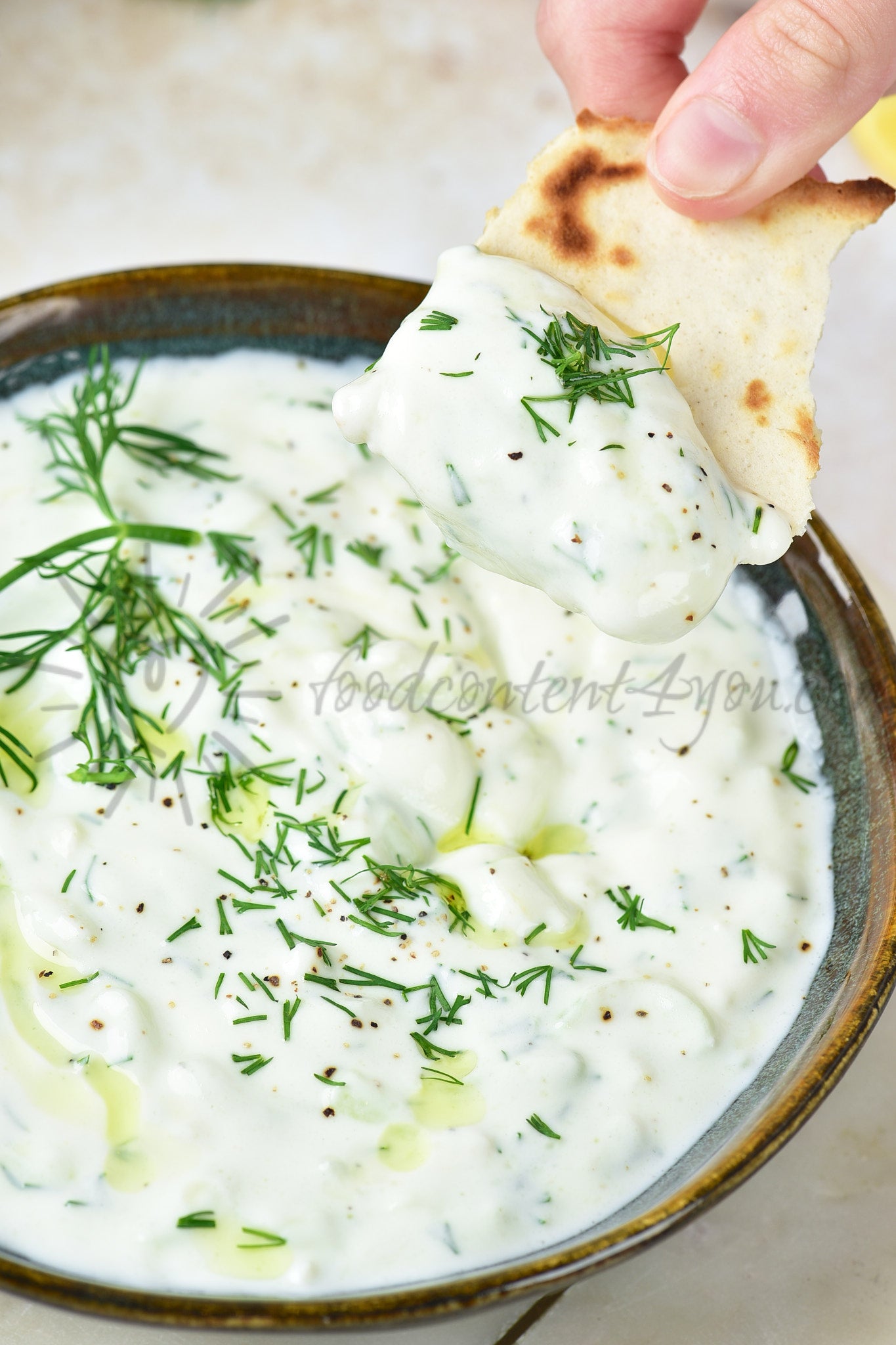 Tzatziki Sauce - Set 2 of 5