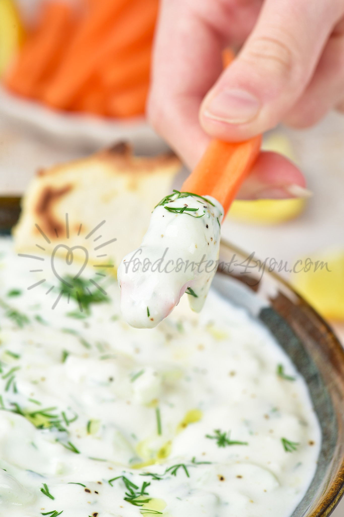Tzatziki Sauce - Set 2 of 5