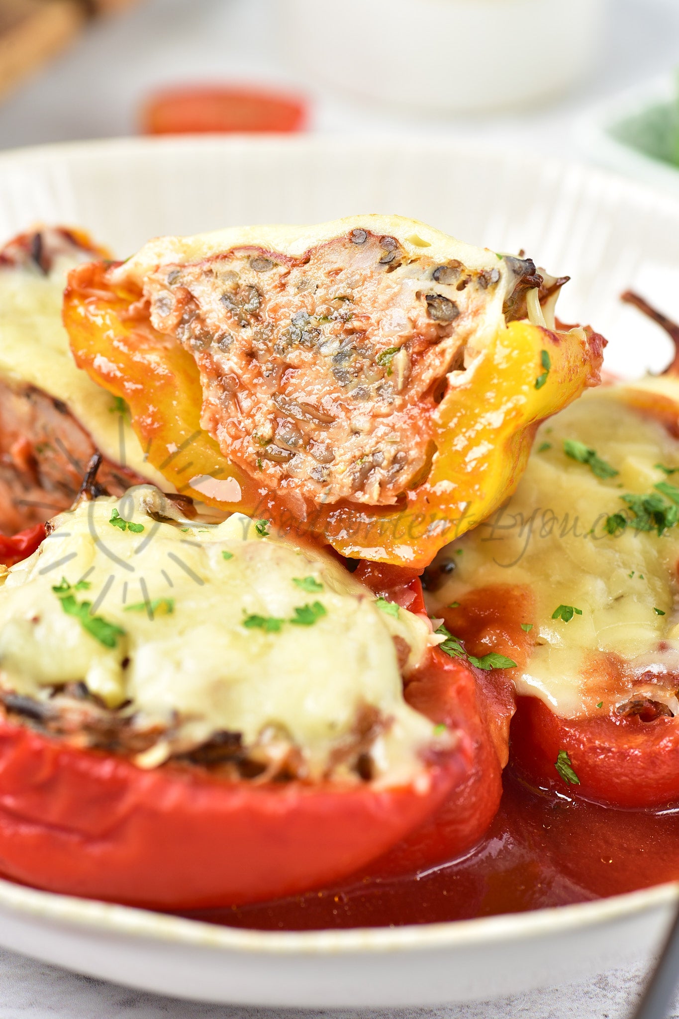 Chicken and Wild rice Stuffed Peppers - Set 2 of 5