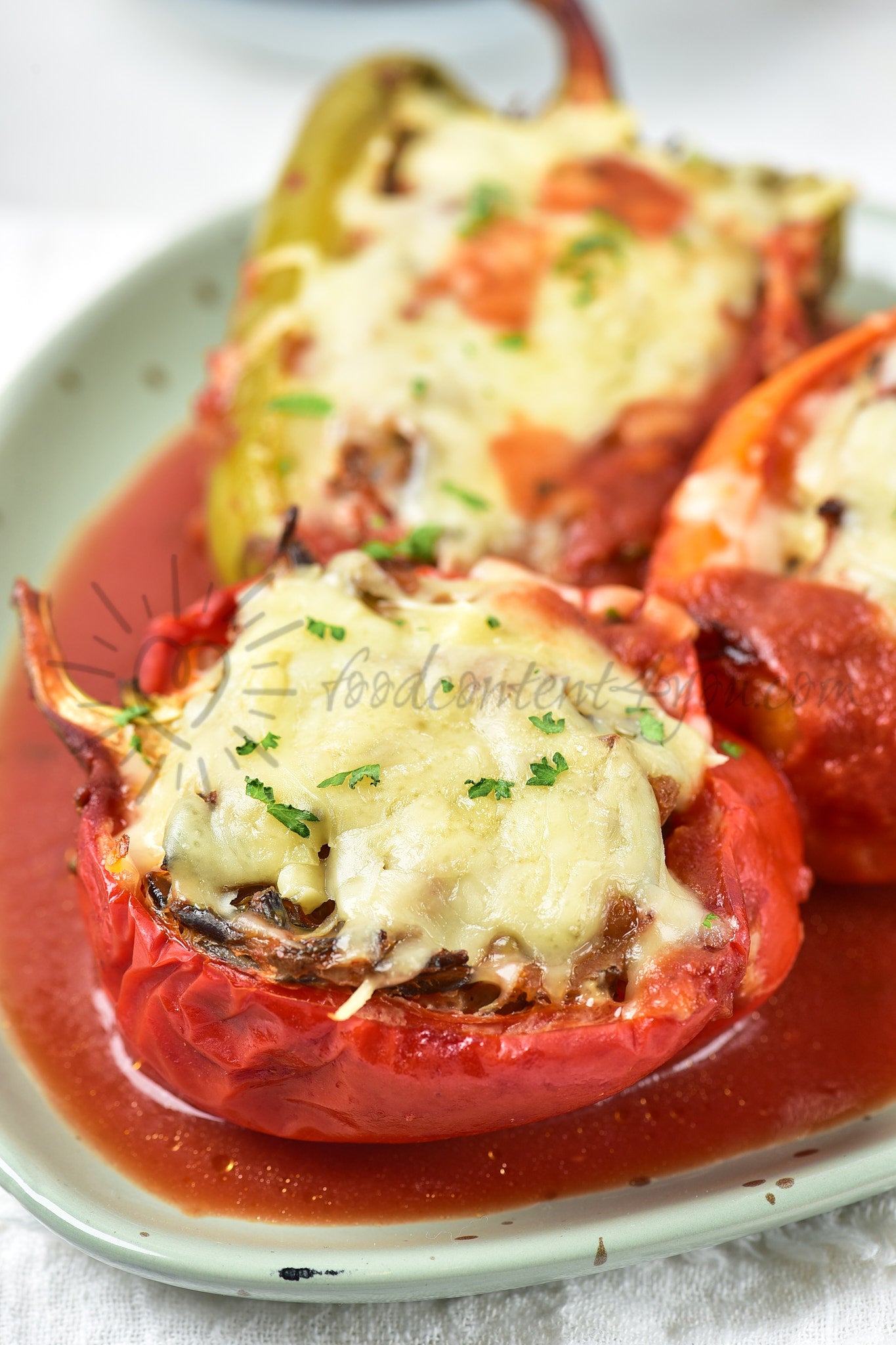Chicken and Wild rice Stuffed Peppers - Set 5 of 5