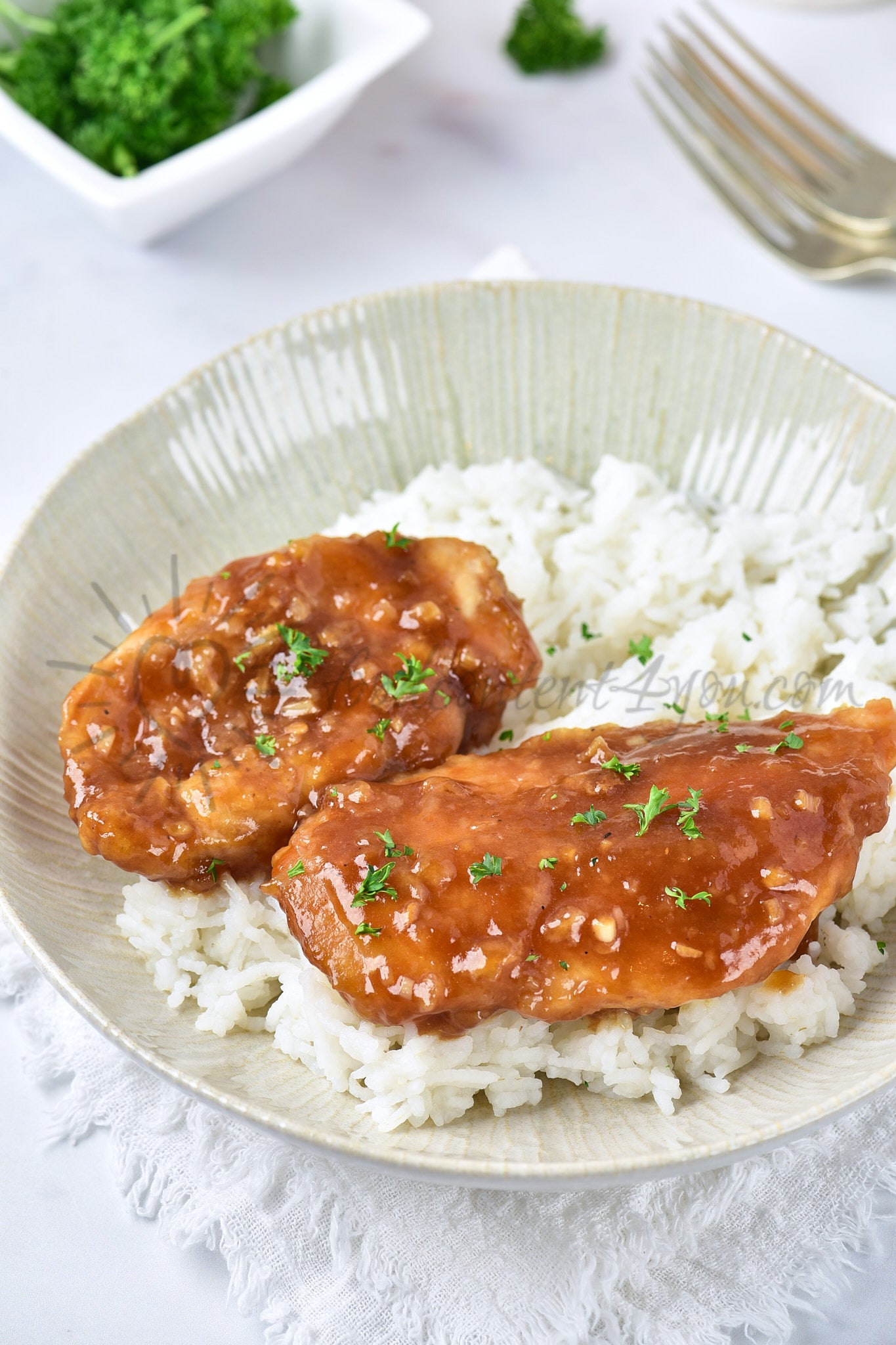 Honey Garlic Chicken - Set 1 of 5