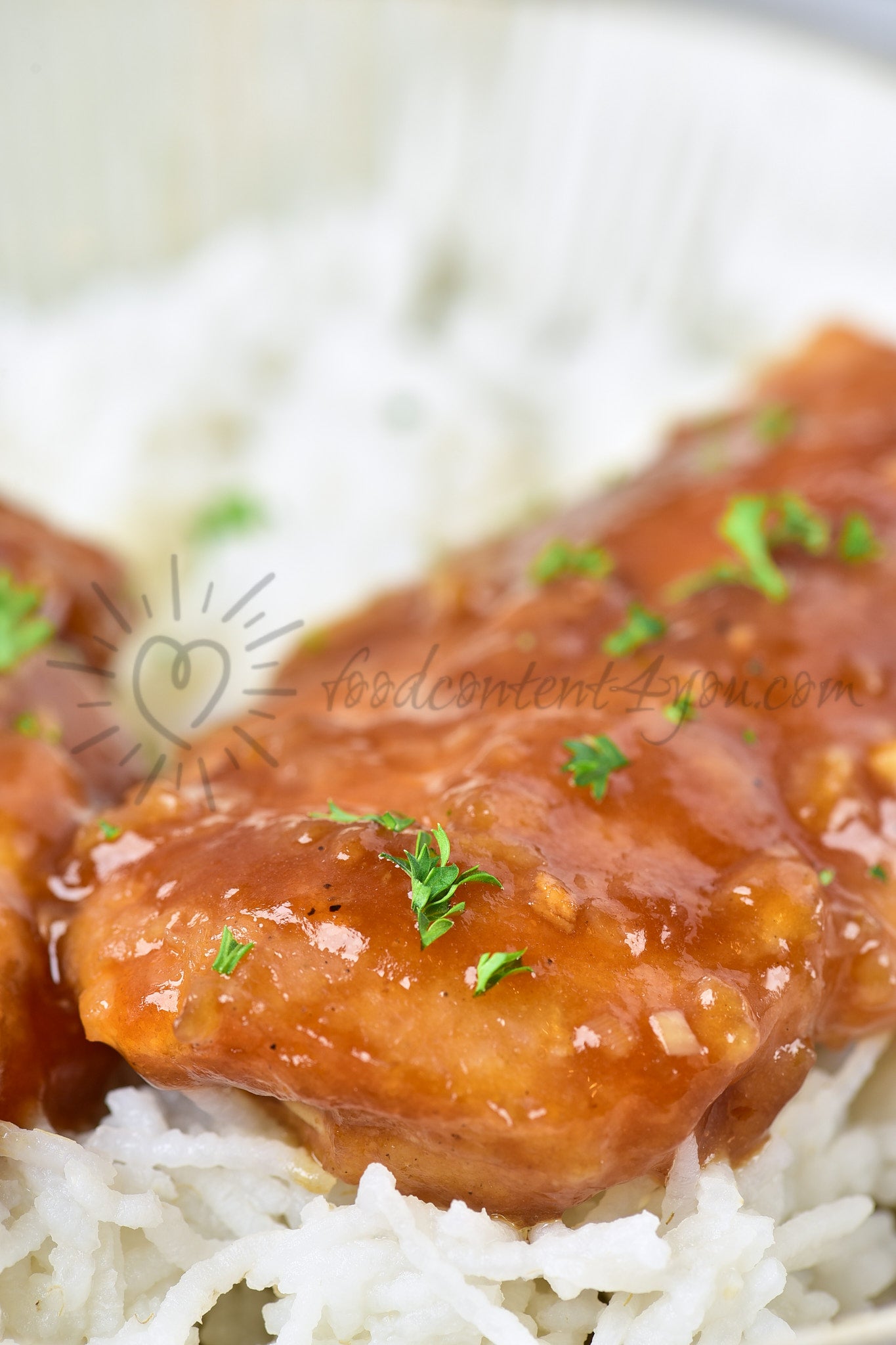 Honey Garlic Chicken - Set 1 of 5
