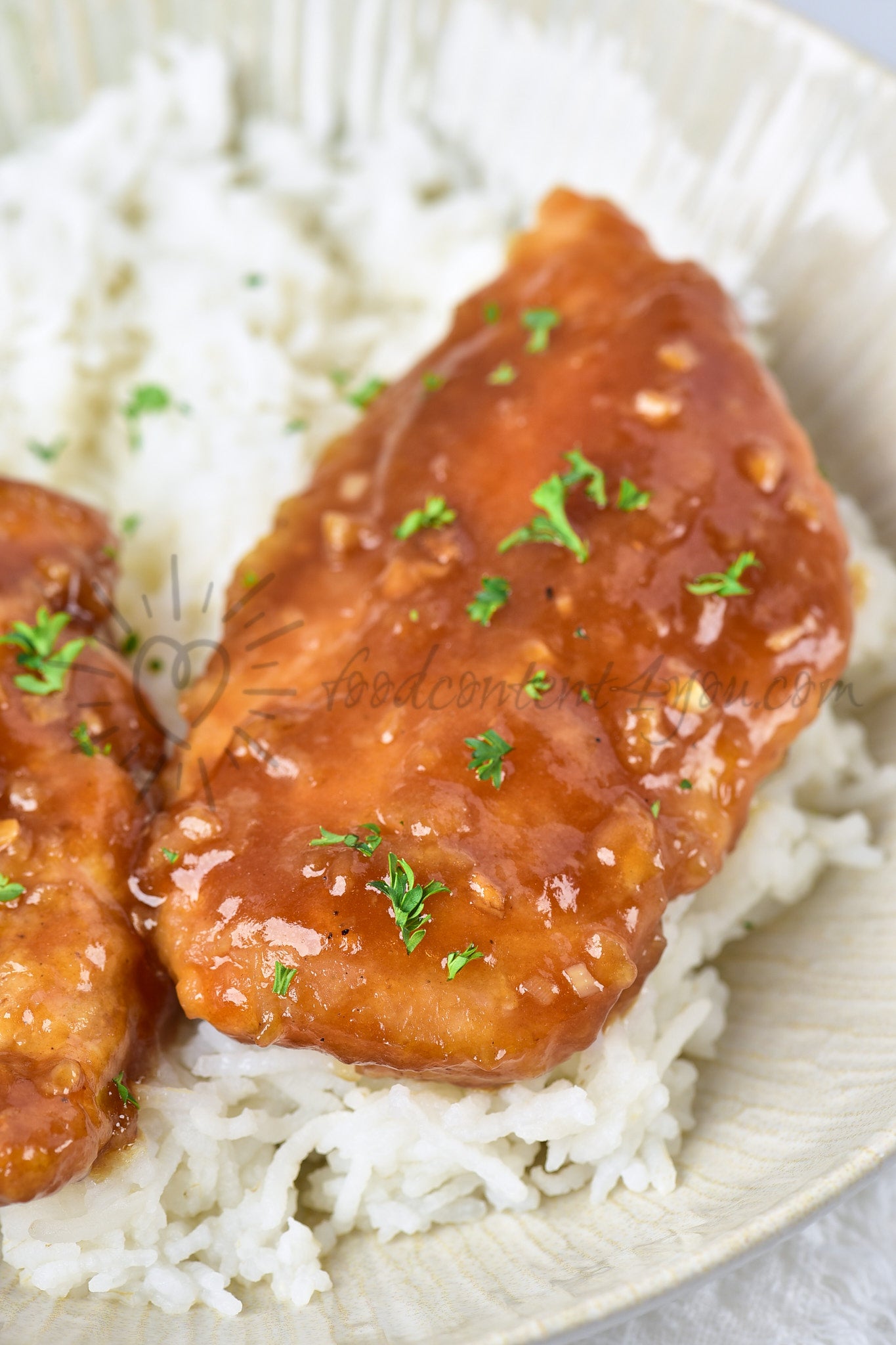 Honey Garlic Chicken - Set 1 of 5